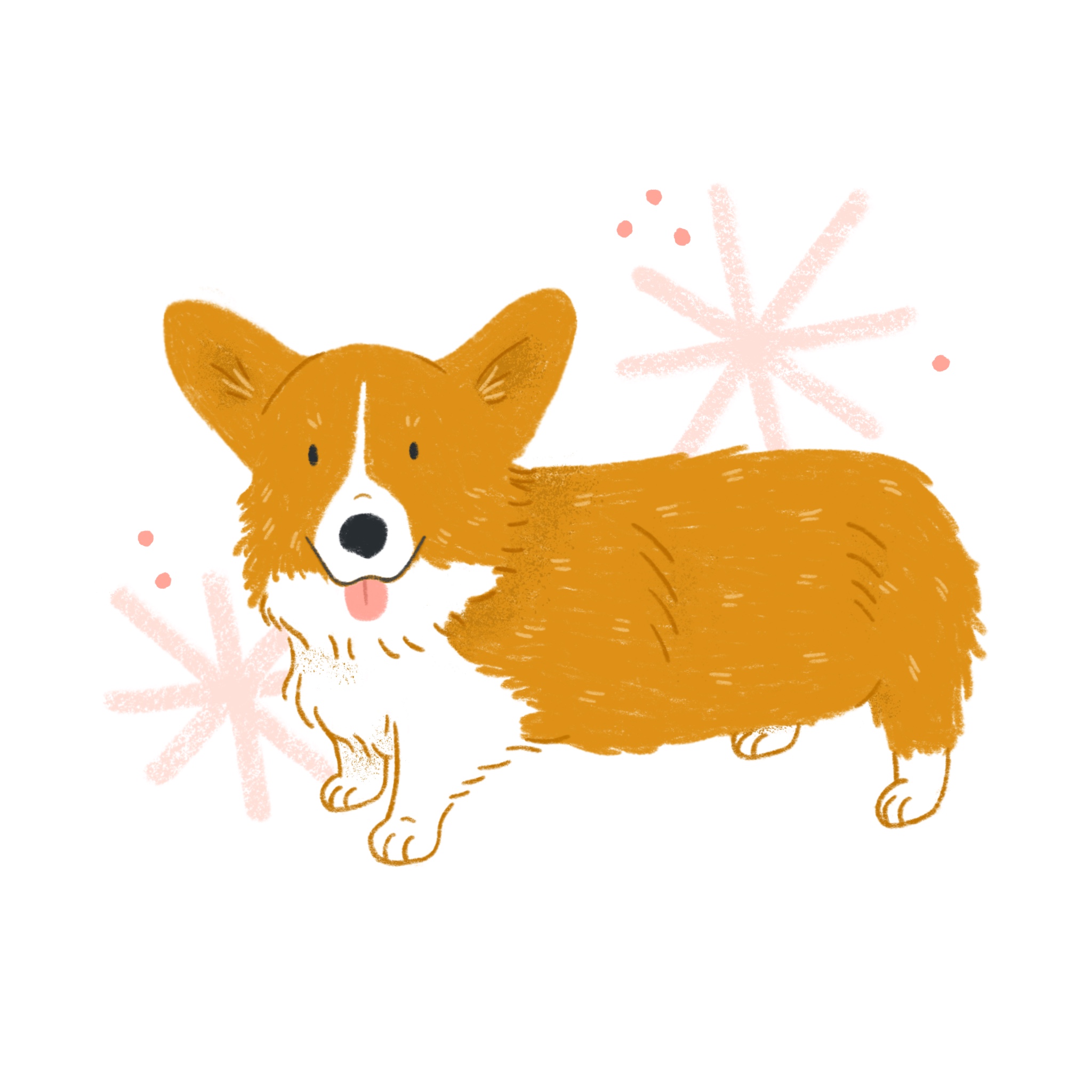 An illustration of a corgi