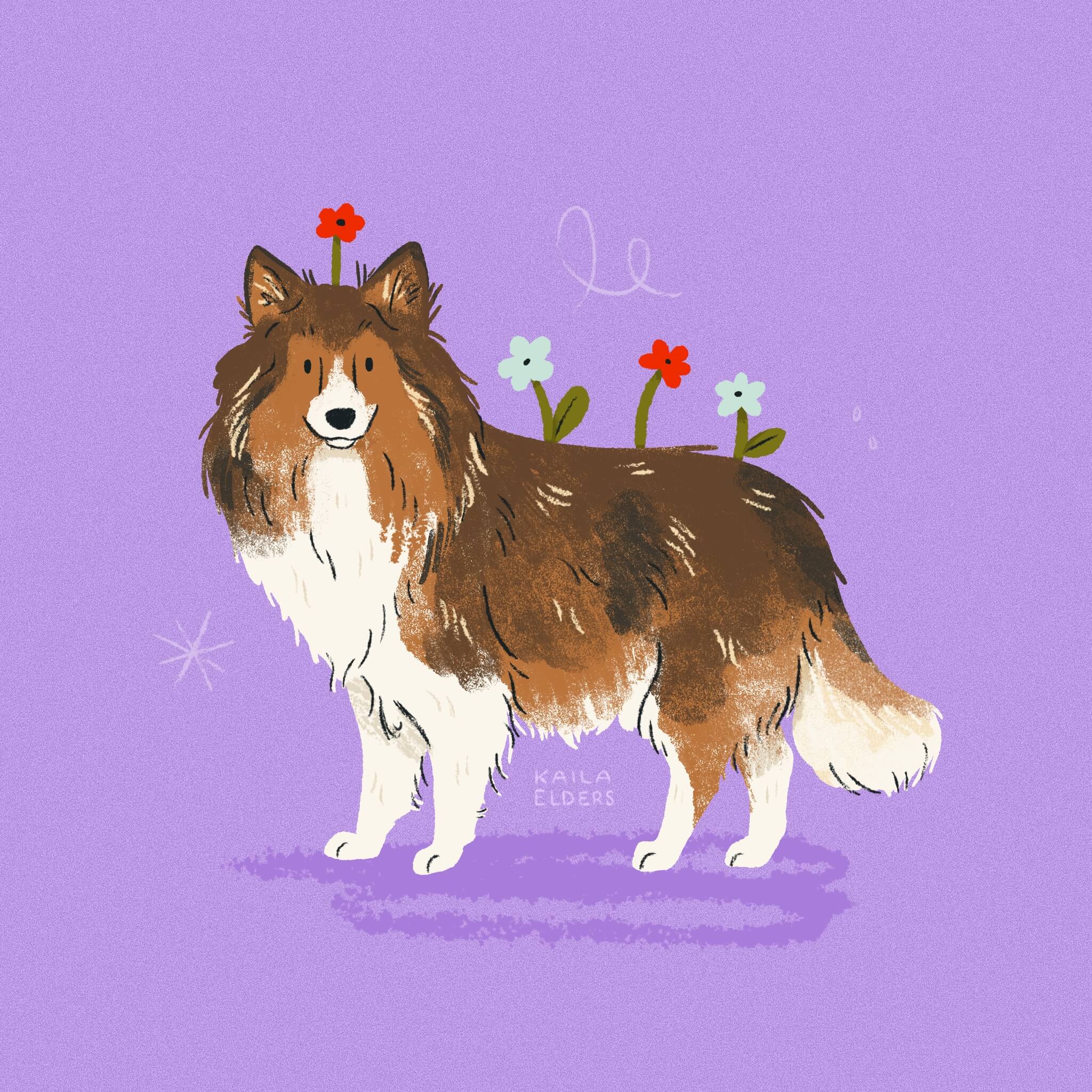 An illustration of a Shetland Sheepdog (or Sheltie) standing in front of a lilac backrgound and smiling at the viewer. Flowers in several colours are growing whimsically from its back.