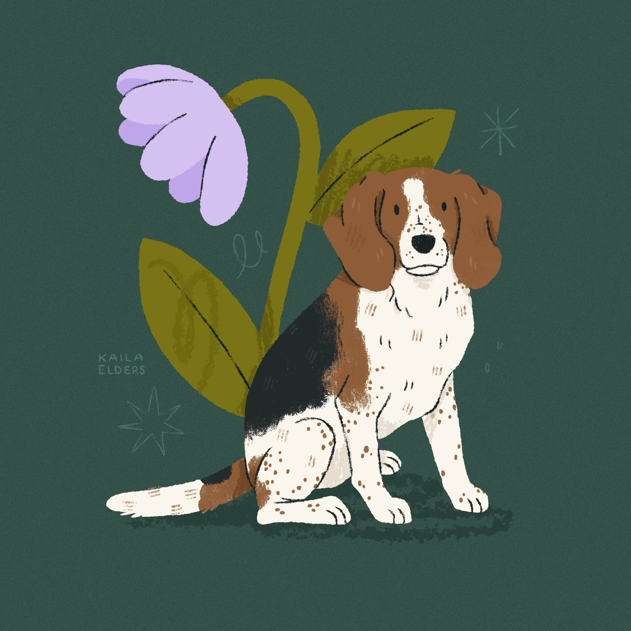 An illustration of a Beagle dog sitting with a large lilac flower behind it, on a dark green background.