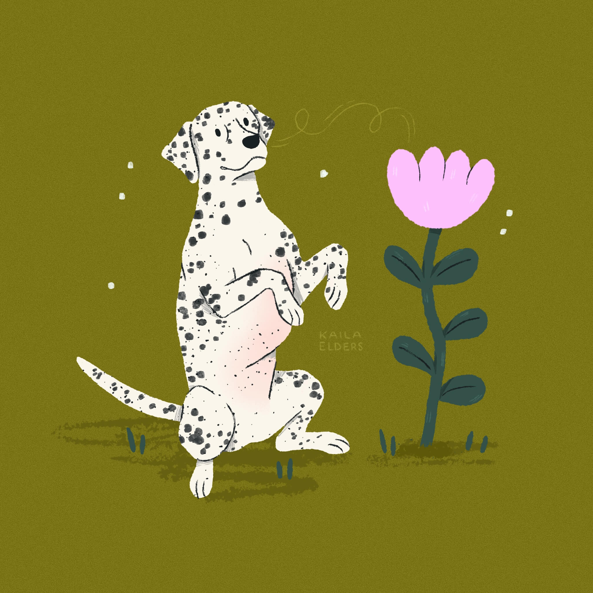 An illustration of a Dalmatian dog sitting up on its hind legs next to a large pink flower. The background is an olive-y green colour.