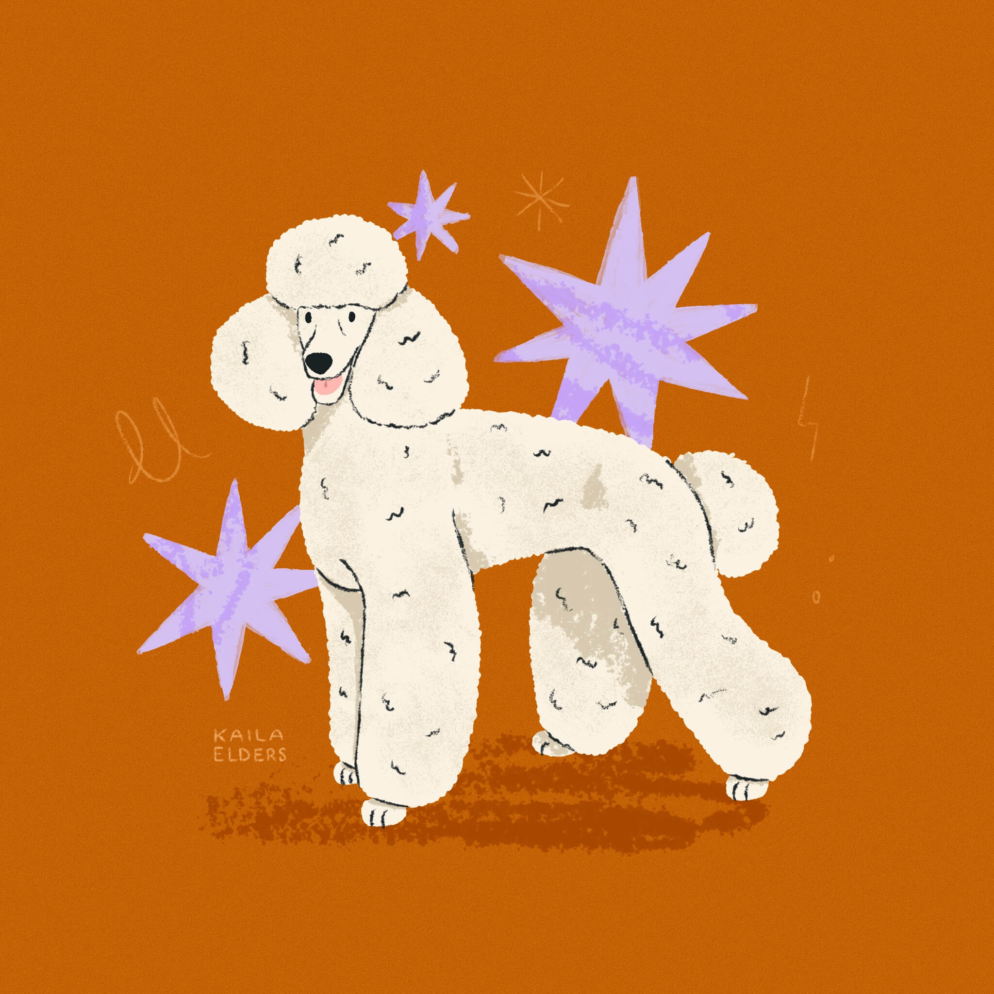 An illustration of a well groomed white Poodle dog standing in fron of some lilac stars on a dark orange background.