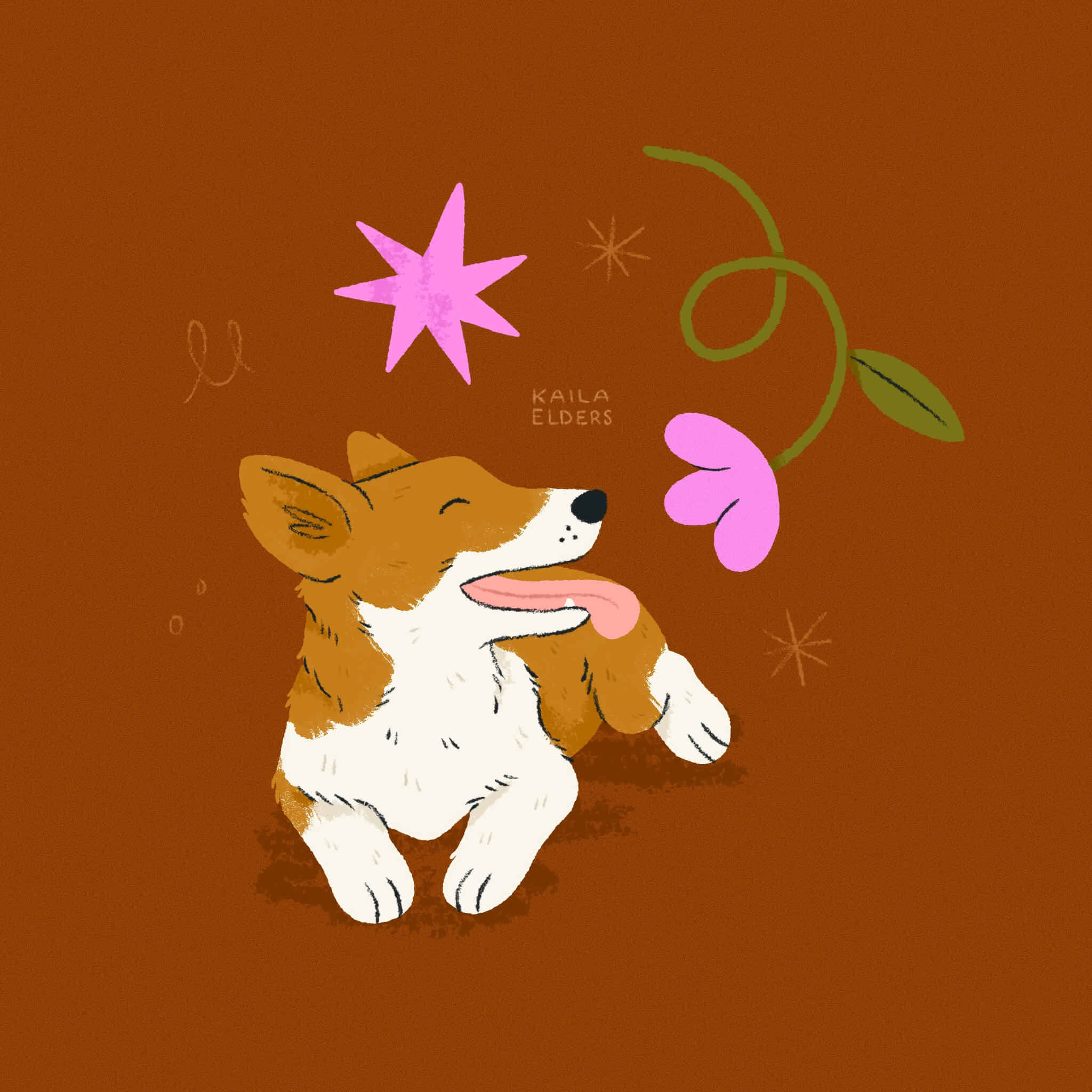 An illustration of a Corgi dog smiling and laying down facing the viewer. A cheerful bright pink flower is twisting down in the air for it to smell. The background is dark burnt orange.