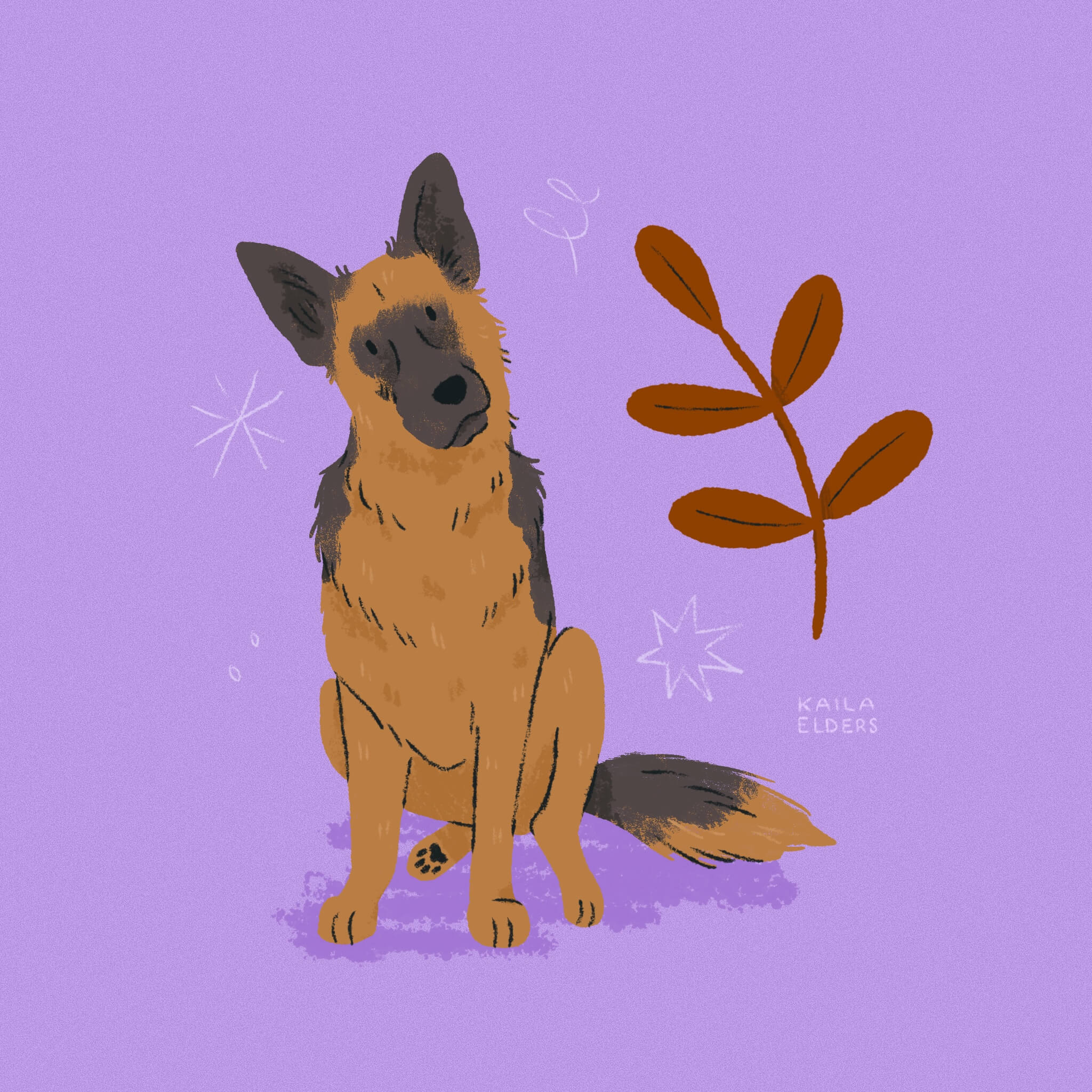 An illustration of a German Shepherd Dog sitting and tilting its head at the viewer. There is a dark orange leafy branch floating next to it, and the background is a lilac colour.