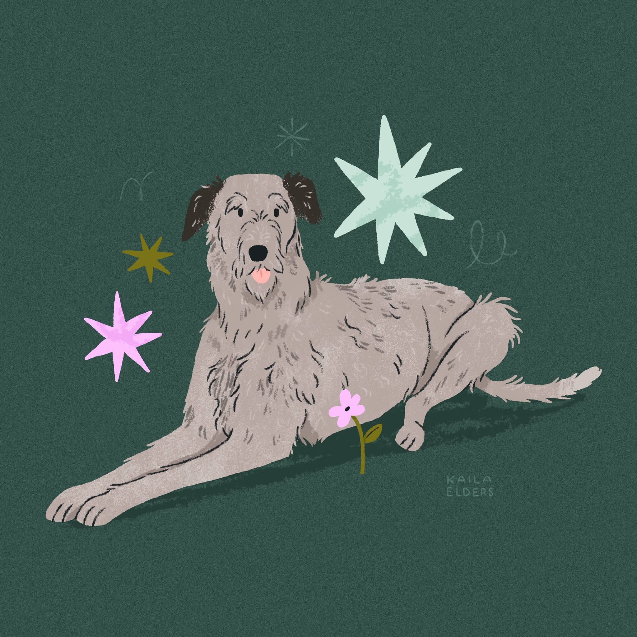 An illustration of an Irish Wolfhound dog laying down next to a small pink flower. Colorful stars surround its head. The background is a foresty dark green colour.