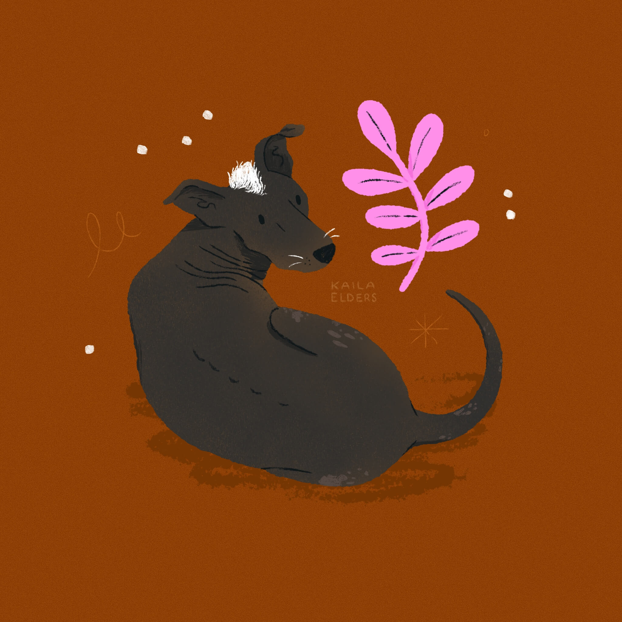 An illustration of a xoloitzcuintle dog, laying down curled away from the viewer, but looking over its back. It has a bright white tuft of fur on its head between its ears. A bright pink leafy branch is floating next to it. The background is an deep orangey brown.