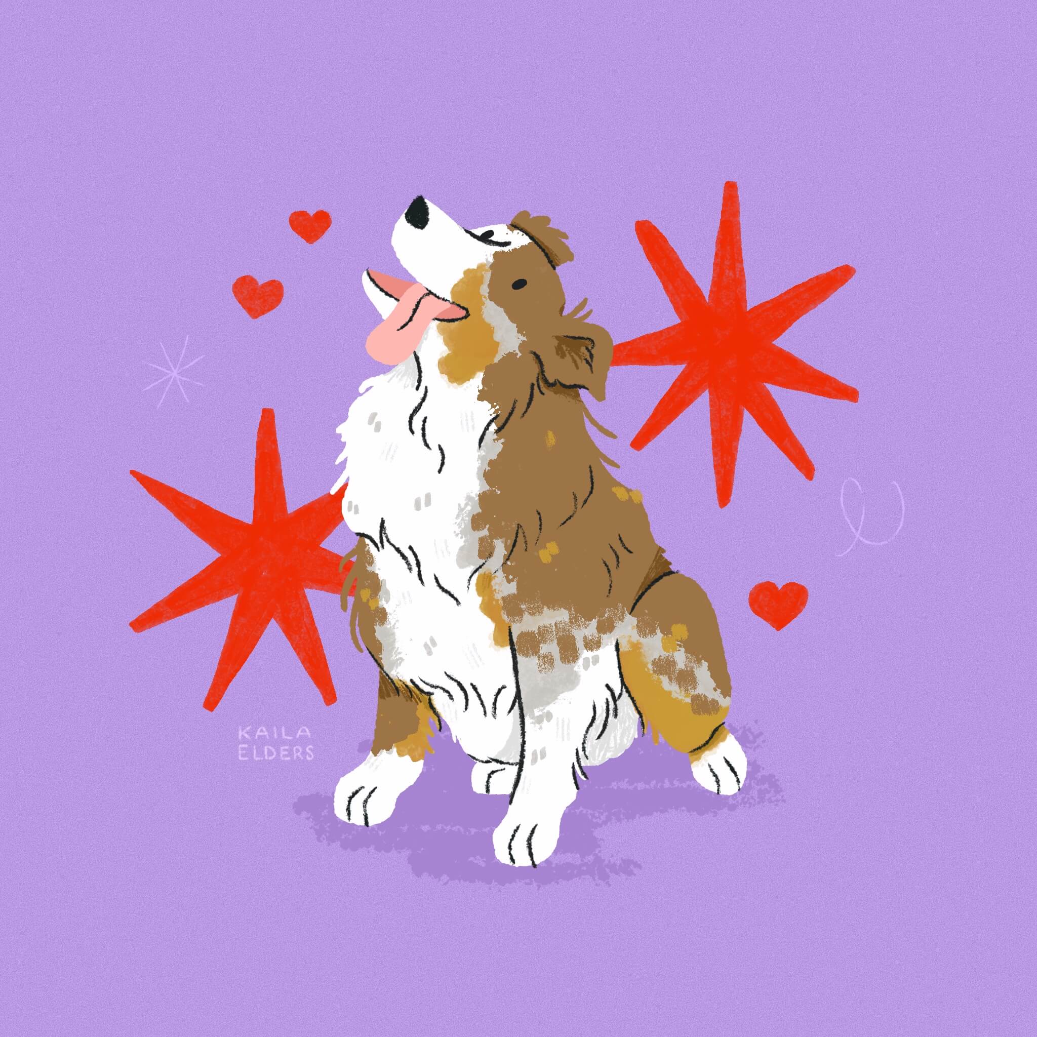 An illustration of an Australian Shepherd with a merle tri-color coat sitting down and smiling with its tongue hanging out. There are red stars behind it on a lilac background.