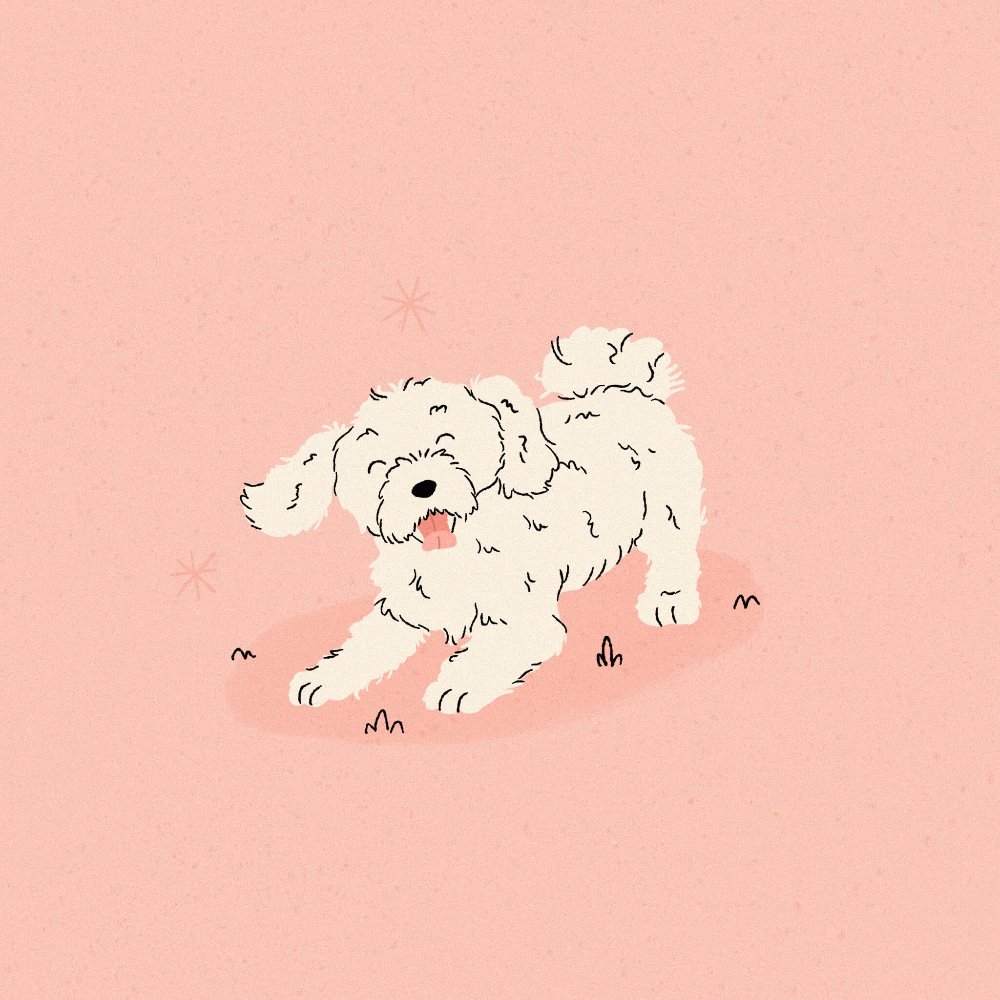 An illustration of a white Bolognese dog in a playful bow with its tongue out, on a bright pink background