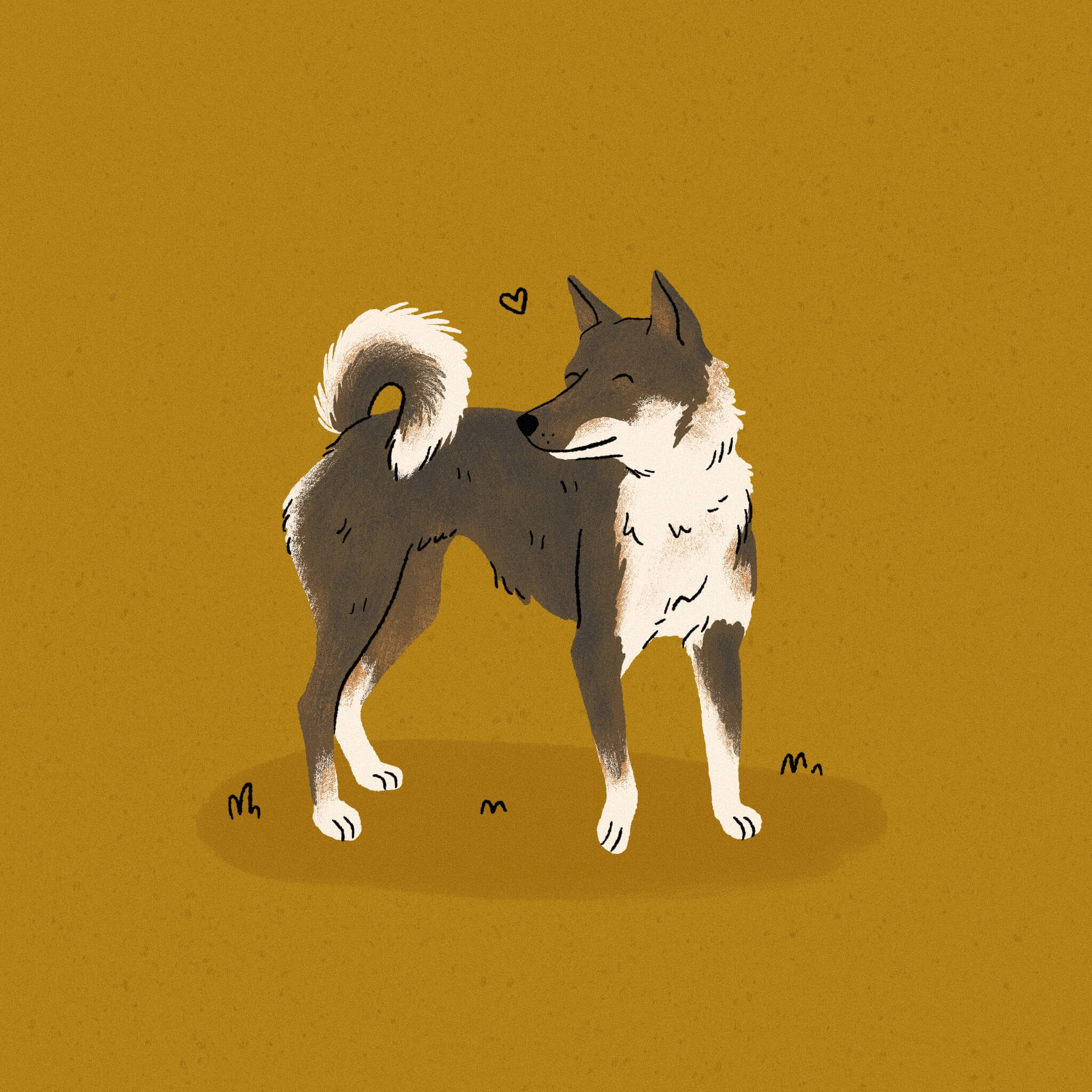 An illustration of a brown and white Shikoku dog with a deep yellow background