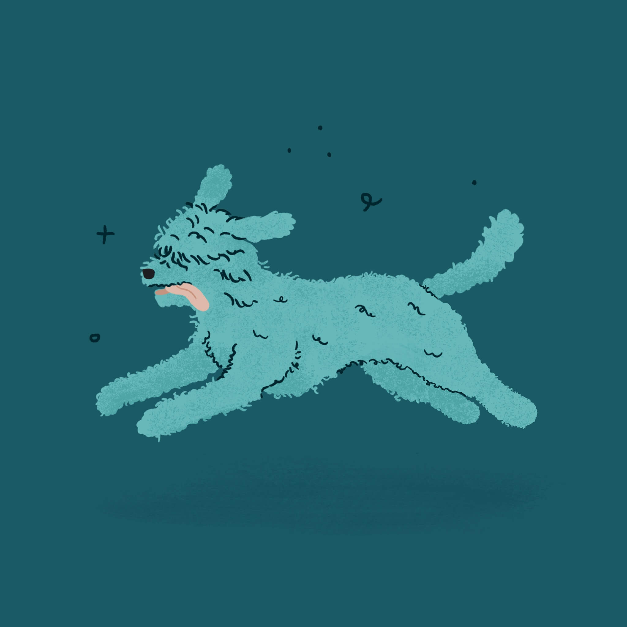 A monochromatic blue illustration os a Spanish Water Dog running through the canvas