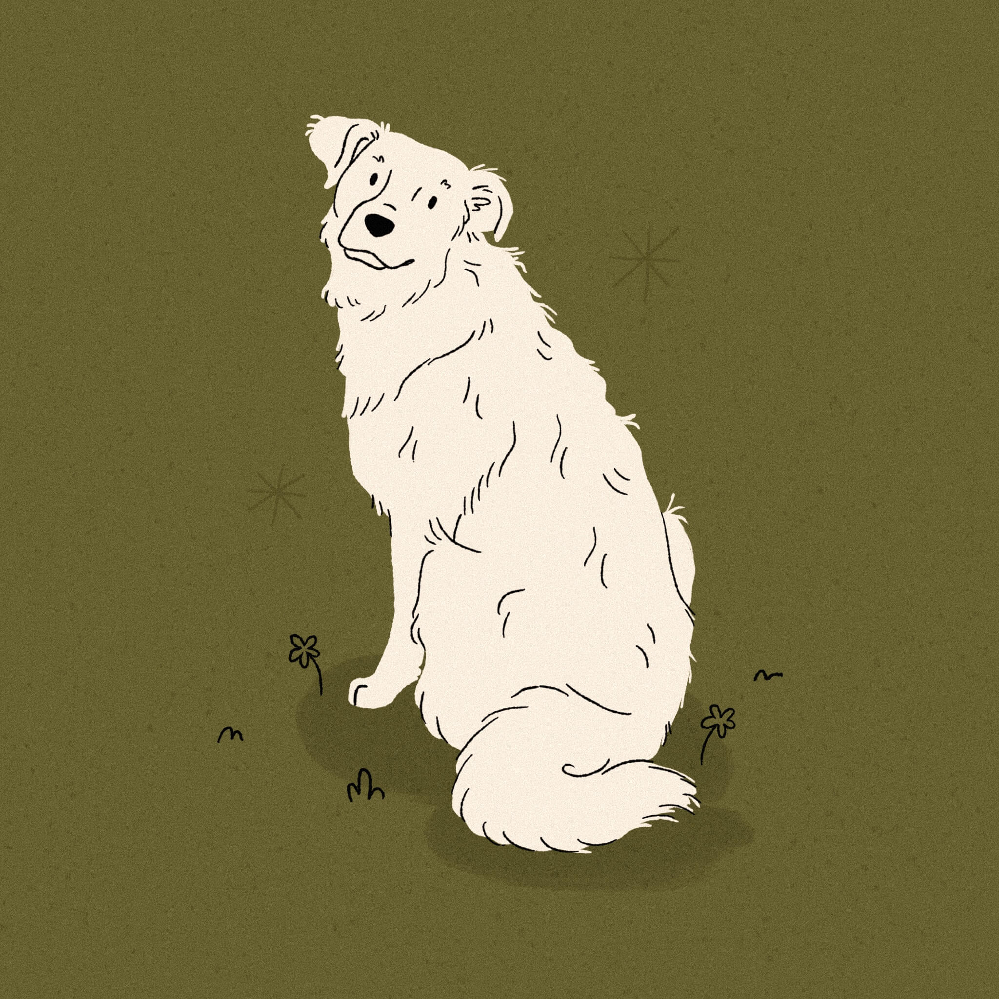 An illustration of. awhite Maremma Sheepdog sitting and looking over its shoulder at the viewer, on a dark olive green background