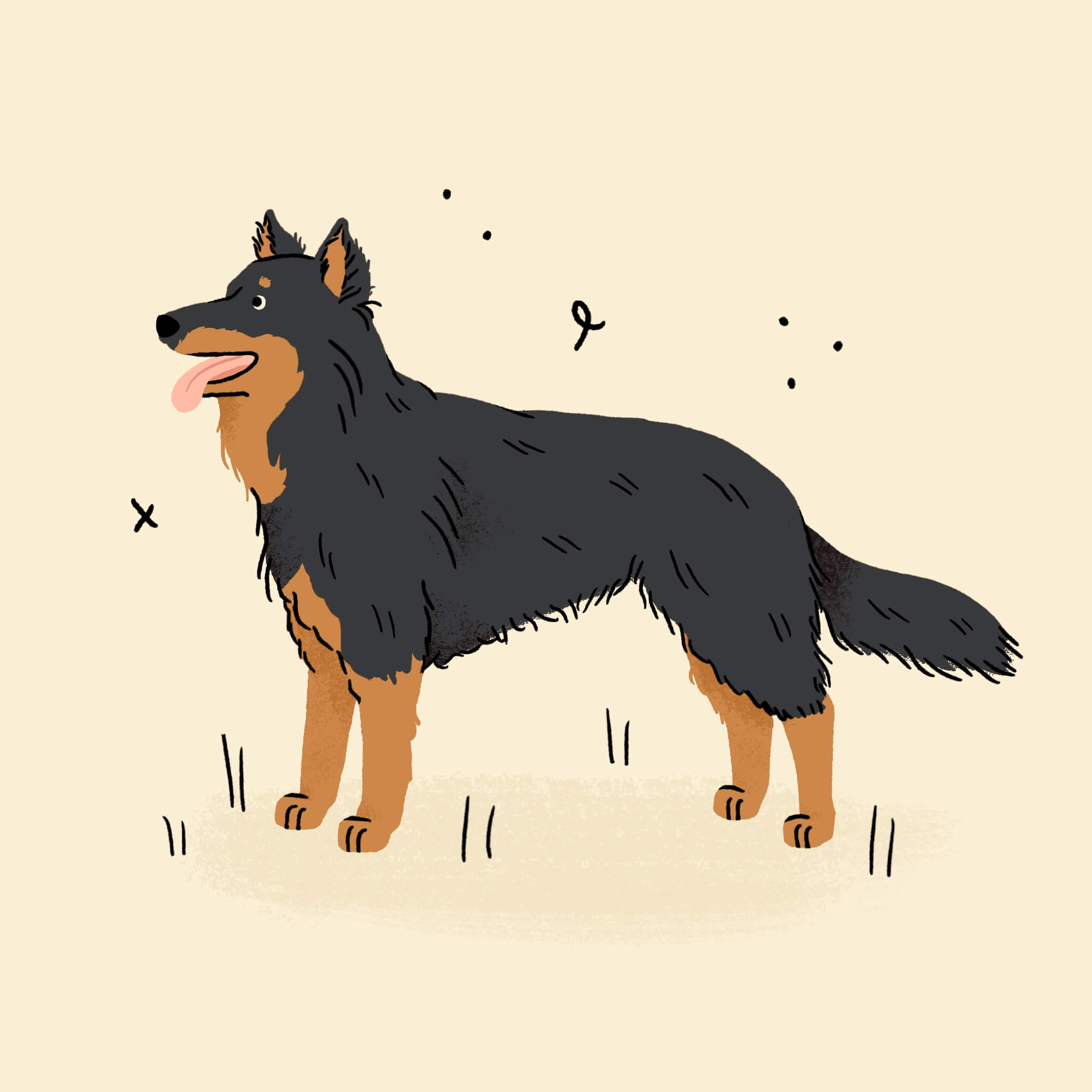 An illustration of a Bohemian Shepherd dog smiling and standing facing left