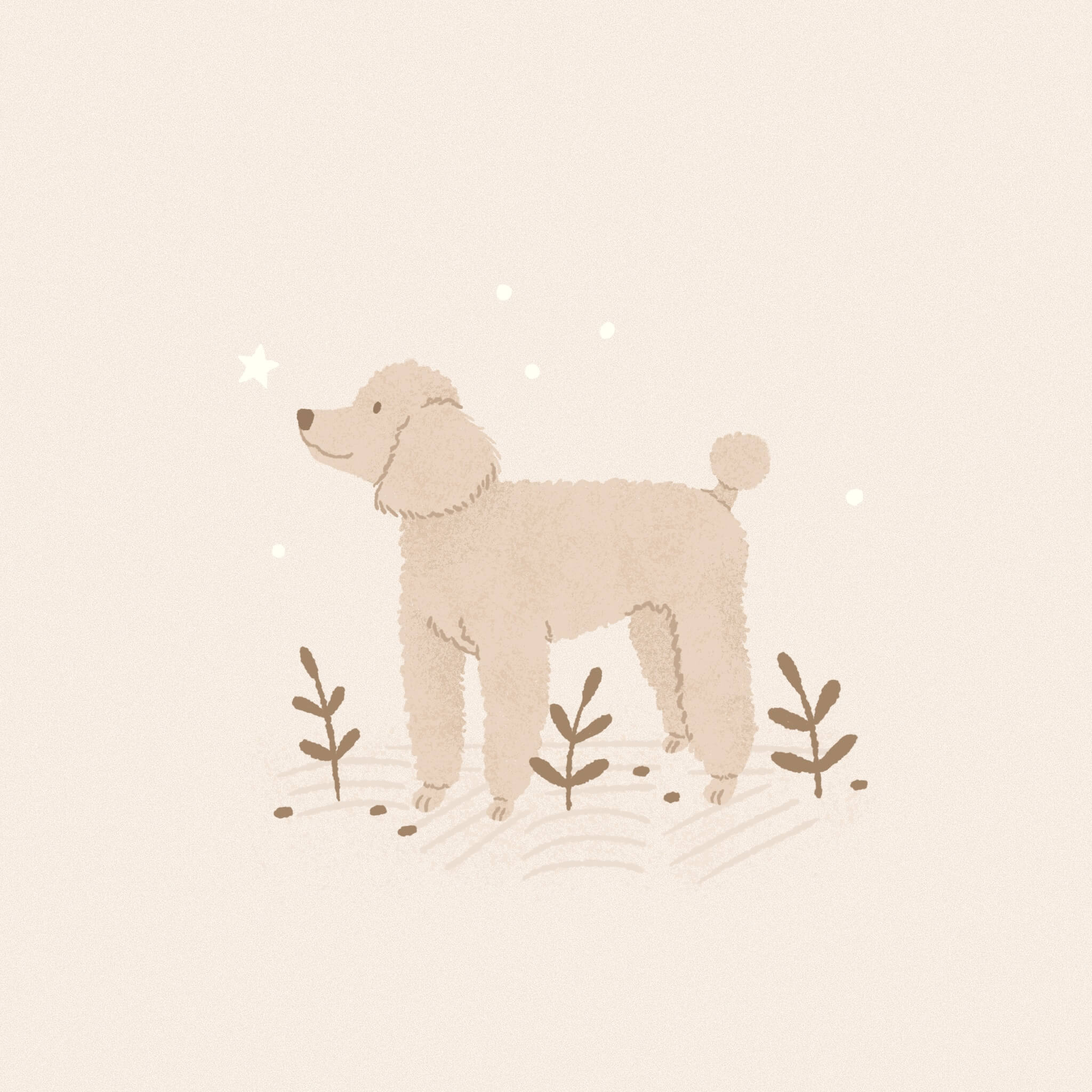 A monochromatic neutral coloured illustration of a sweet little toy poodle dog standing among some greenery