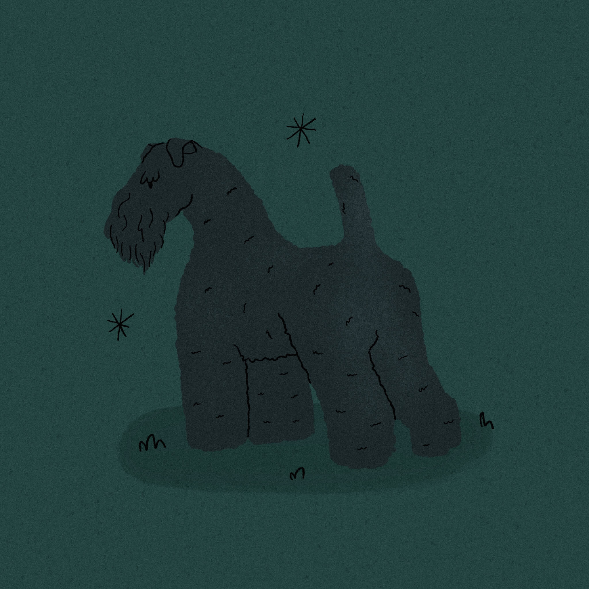 An illustration of a black Blue Kerry Terrier dog, standing with its back to the veiwer with a dark bluey green background