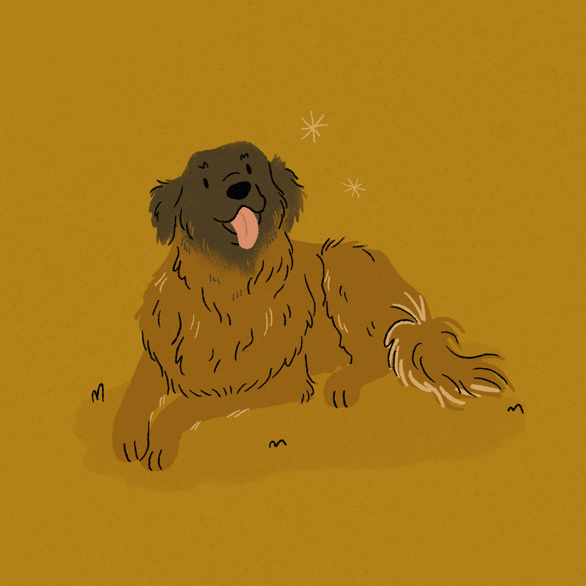 An illustration of a happy Estrela Mountain dog laying down and smiling with its tongue out in front of a deep yellow background