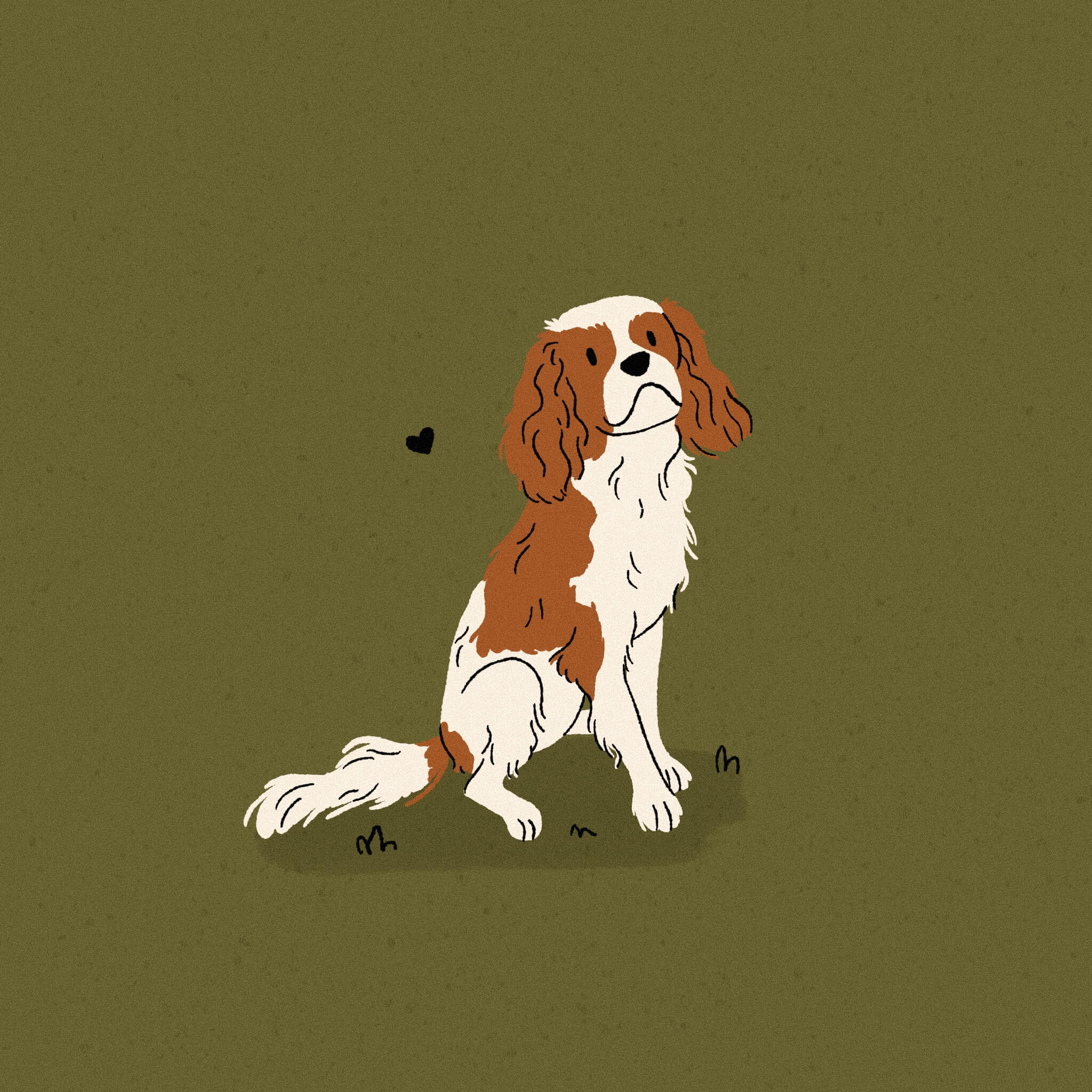 An illustration of a white and red King Charles Cavalier Spaniel dog, sitting with a dark olive green background