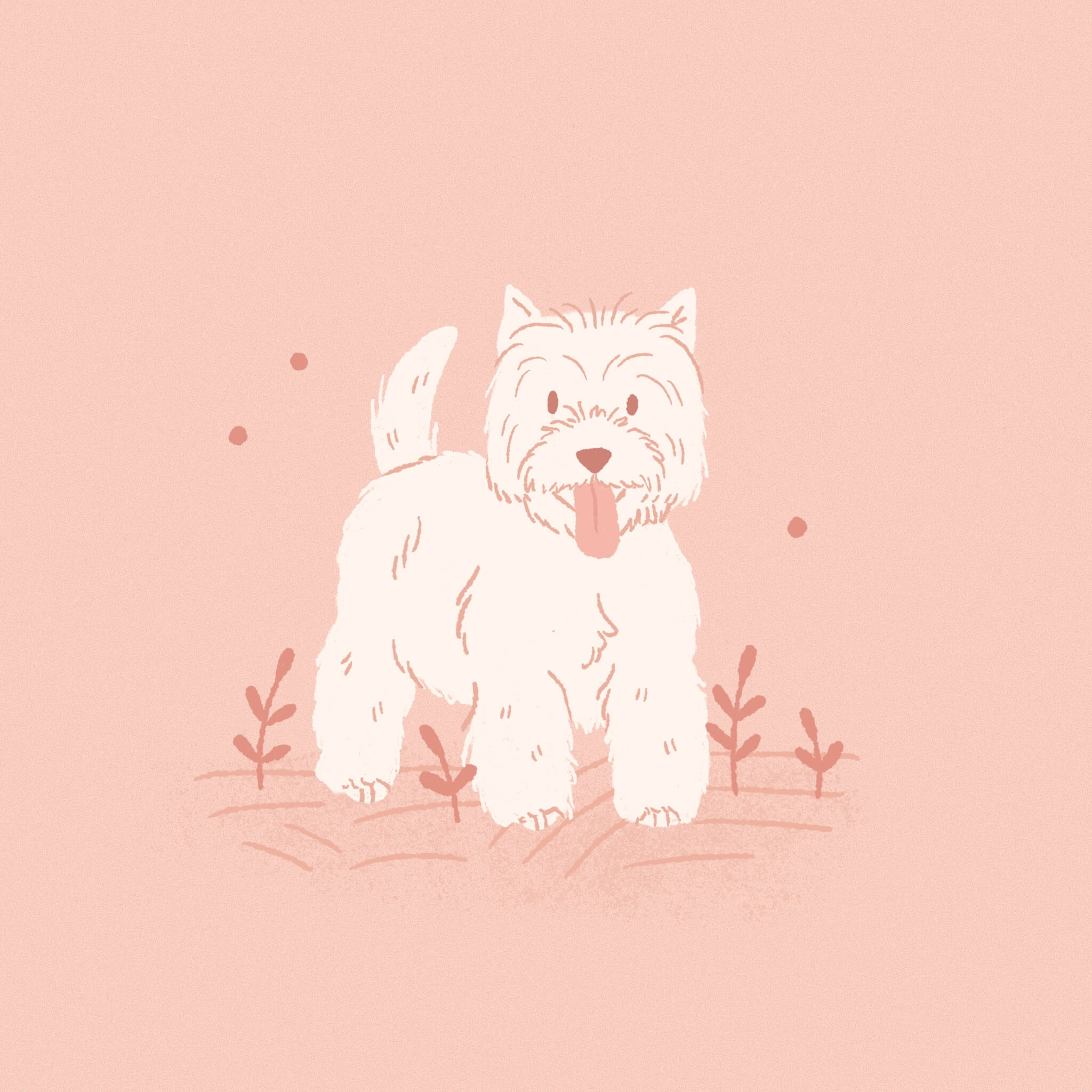 A monochromatic pink illustration of a West Highland Terrier dog smiling with its tongue out