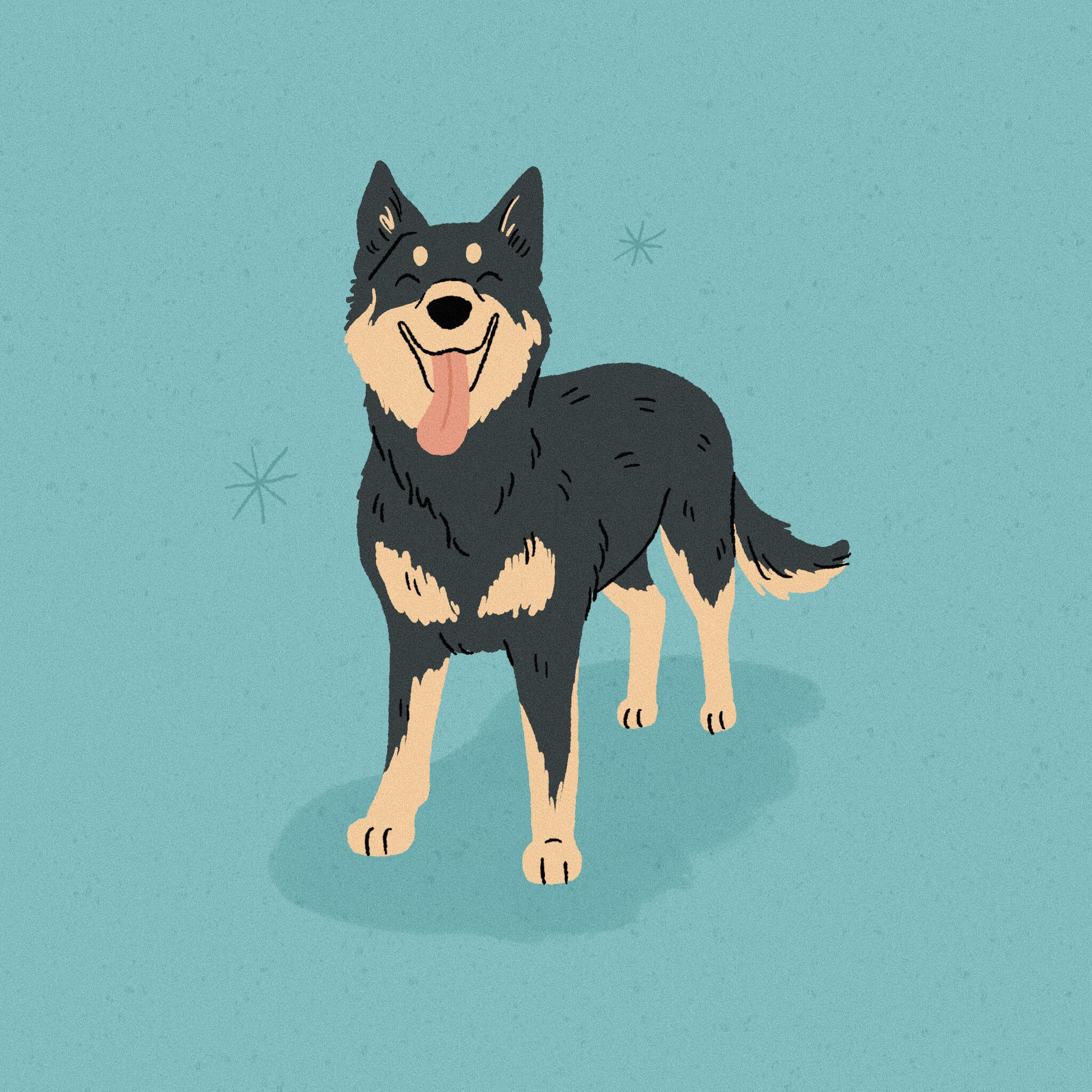 AN illustration of a tan and black Lapponian Herder dog smiling in front of a bright blue background