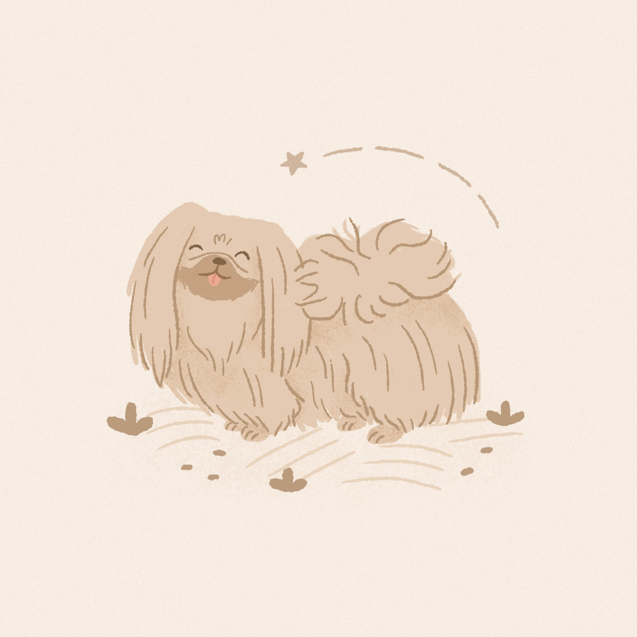 A monochromatic neutral coloured illustration of a Pekingese dog smiling under a lil shooting star