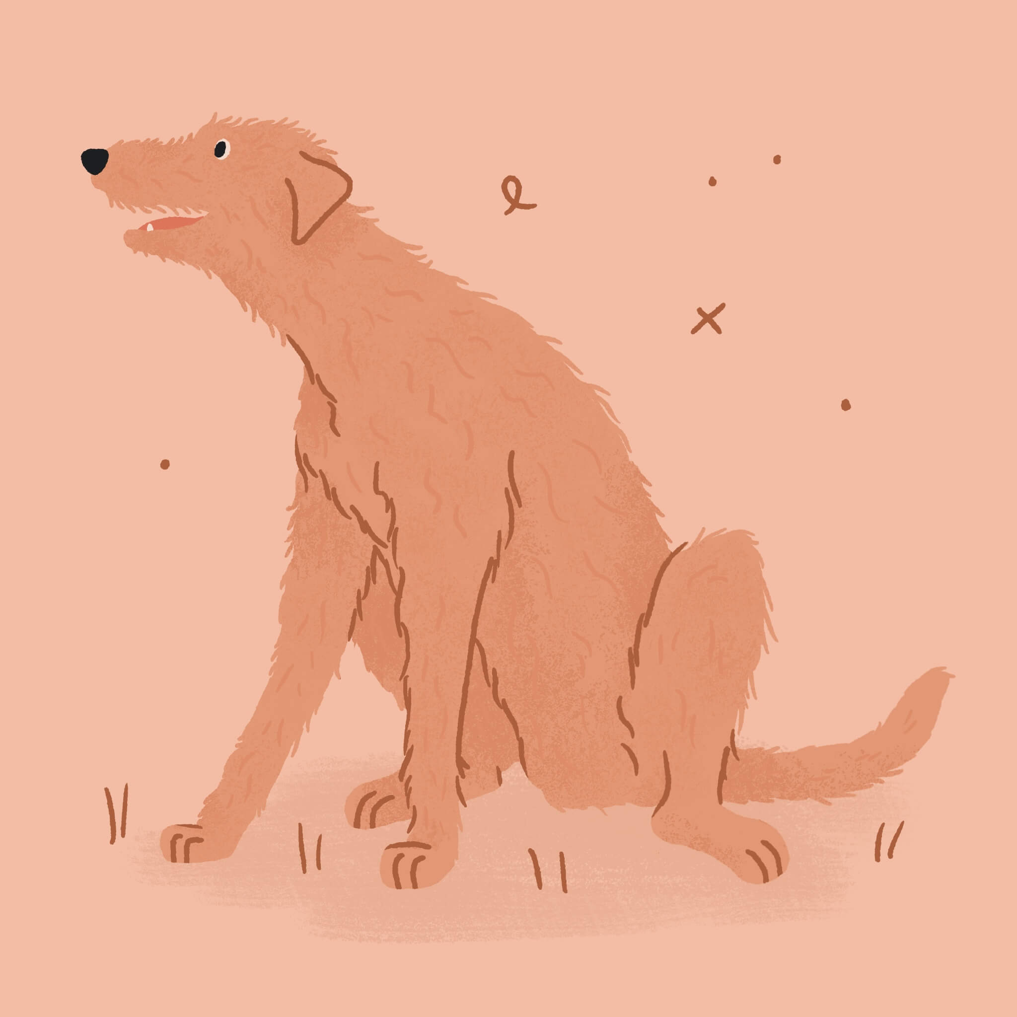 A monochromatic pink illustration of a large Irish Wolfhound dog sitting happily