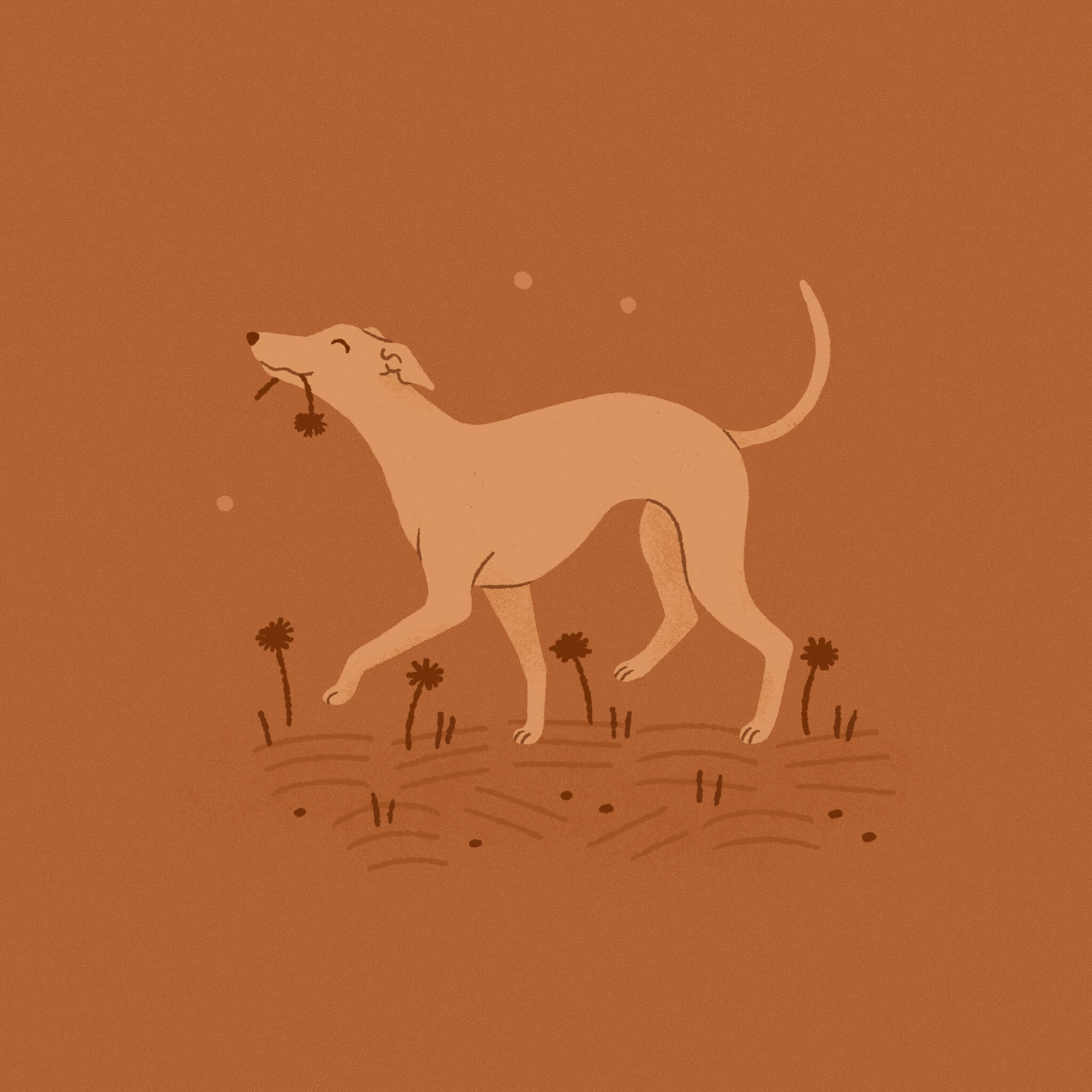 A monochromatic deep orange illustration of a prancing Italian Greyhound dog holding a flower in its mouth