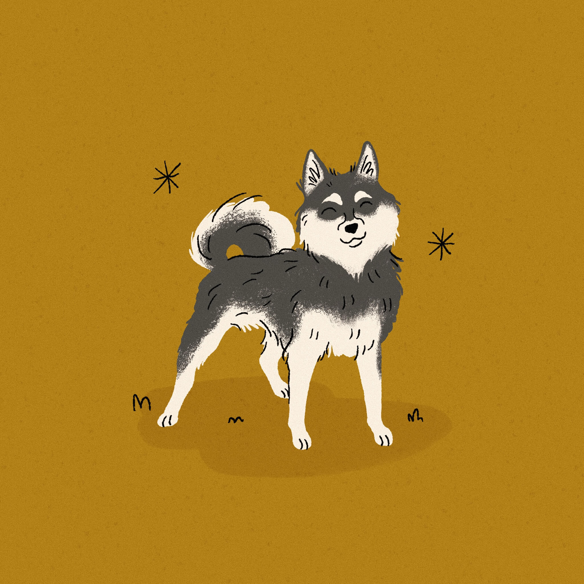 An illustration of a black and white Alaskan Klee Klai dog standing in front of a deep yellow background