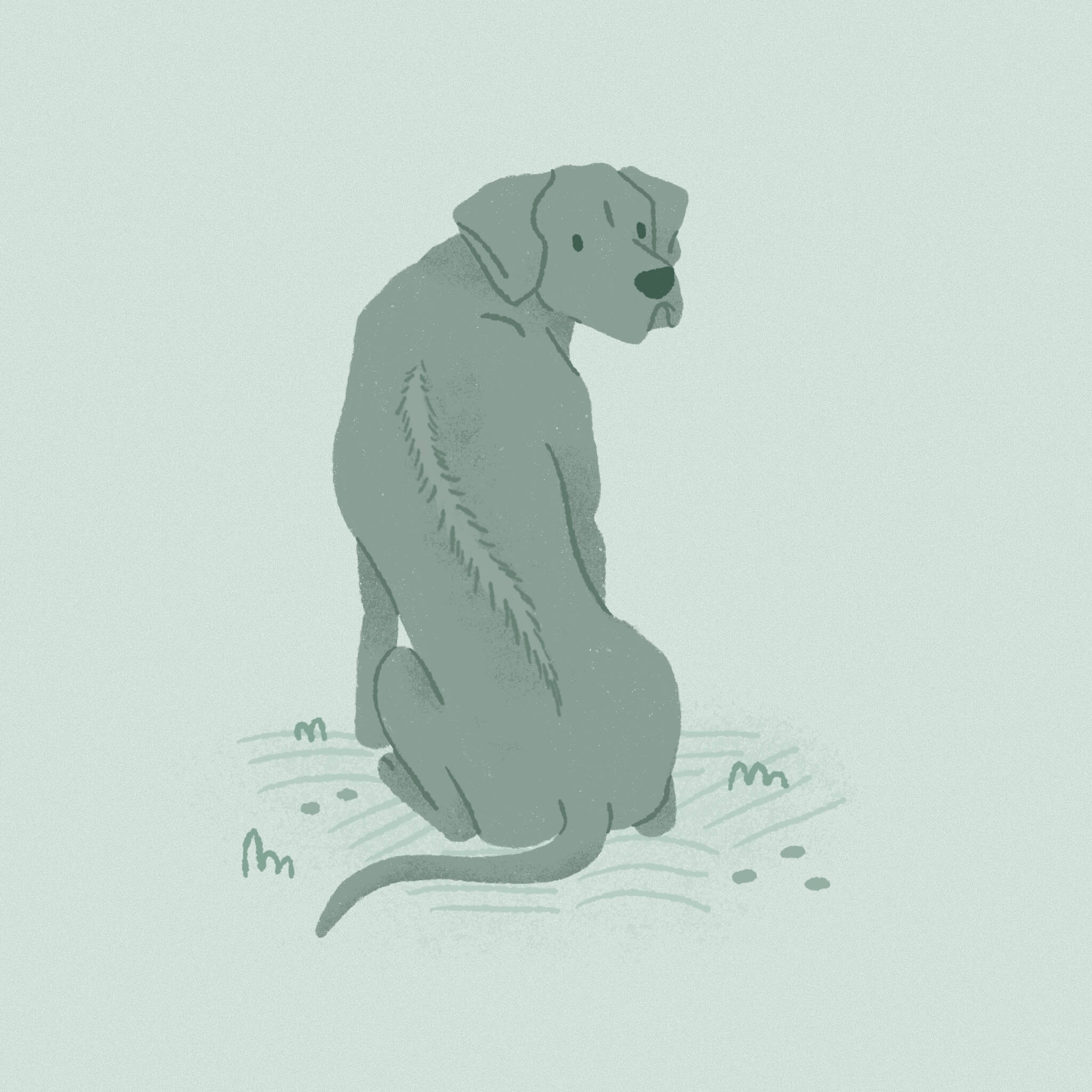 A monochromatic light teal illustration of a Rhodesian Ridgeback dog sitting with its back to the viewer but looking curiously over its shoulder