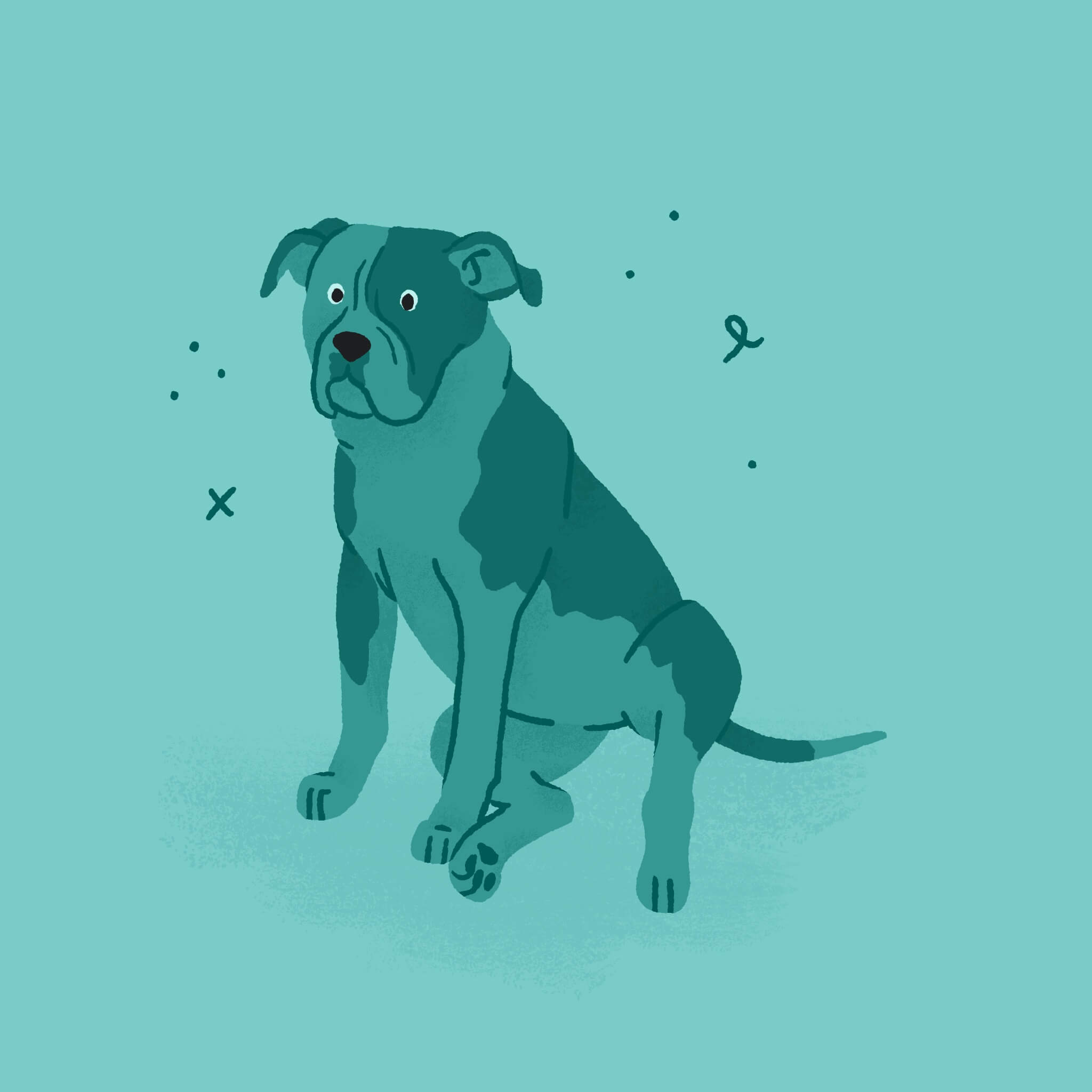 A monochromatic blue illustration of an American Bulldog sitting