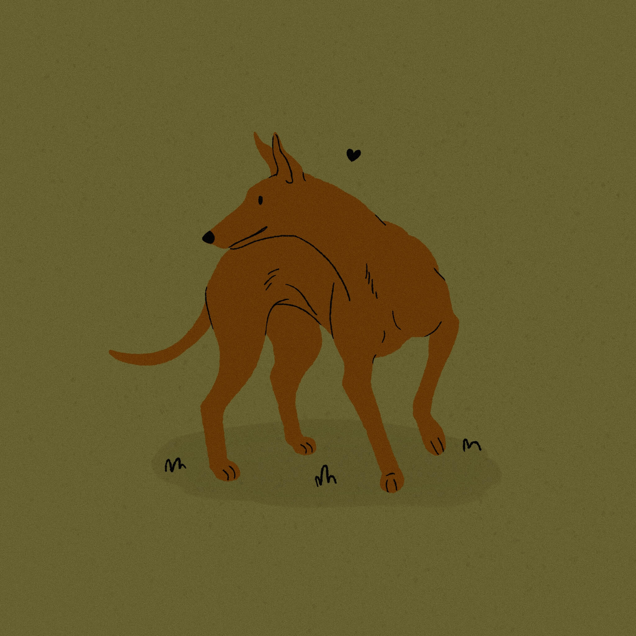 An illustration of a brown Cirneco D'Elletna dog turning to look at something to its right. The background is a dark olive green