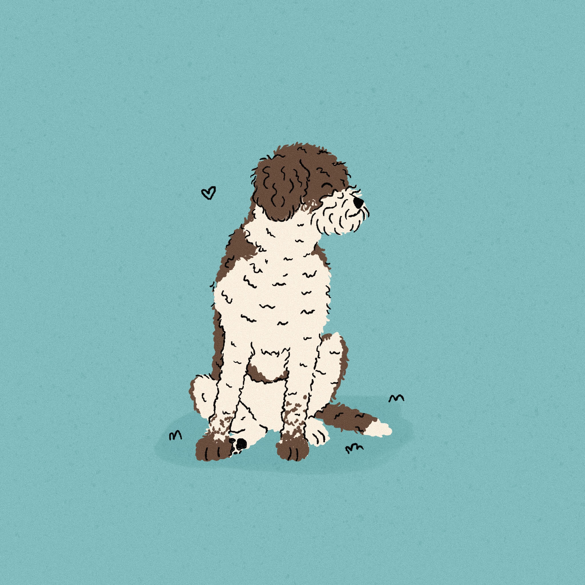 An illustration of a Lagotto Romagnolo dog, white and brown and curly haired, istting with a bright blue background