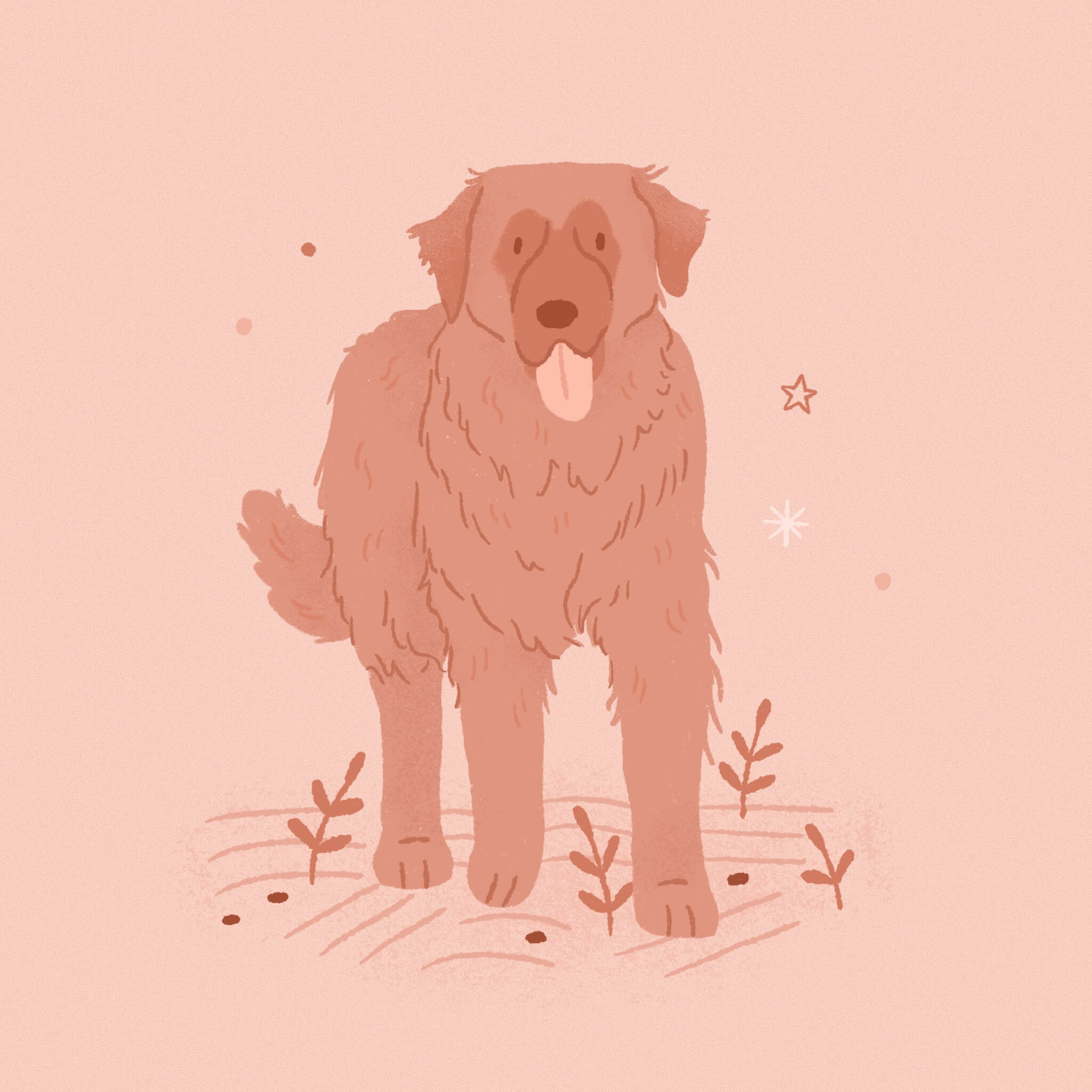 A monochromatic pink illustration of a Leonberger dog taking a friendly step toward the viewer