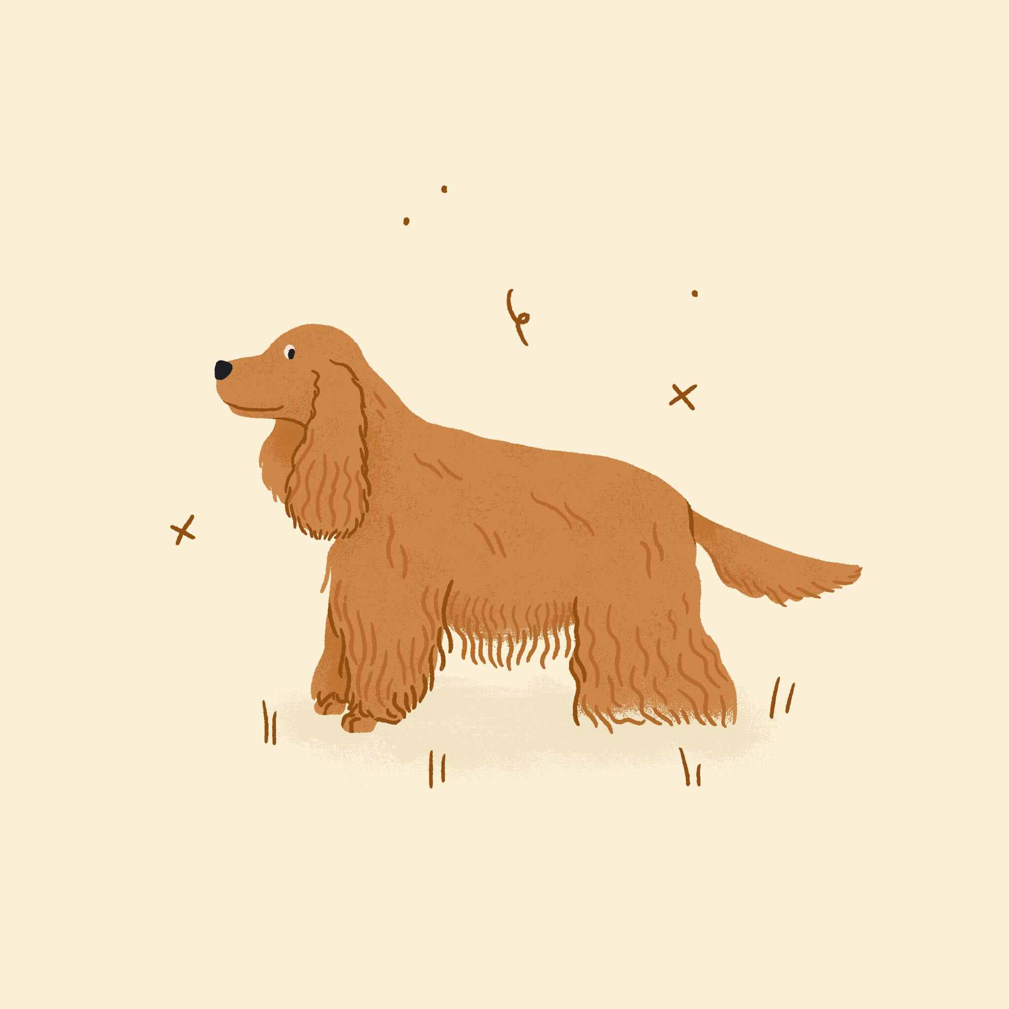 An illustration of a Cocker Spaniel dog