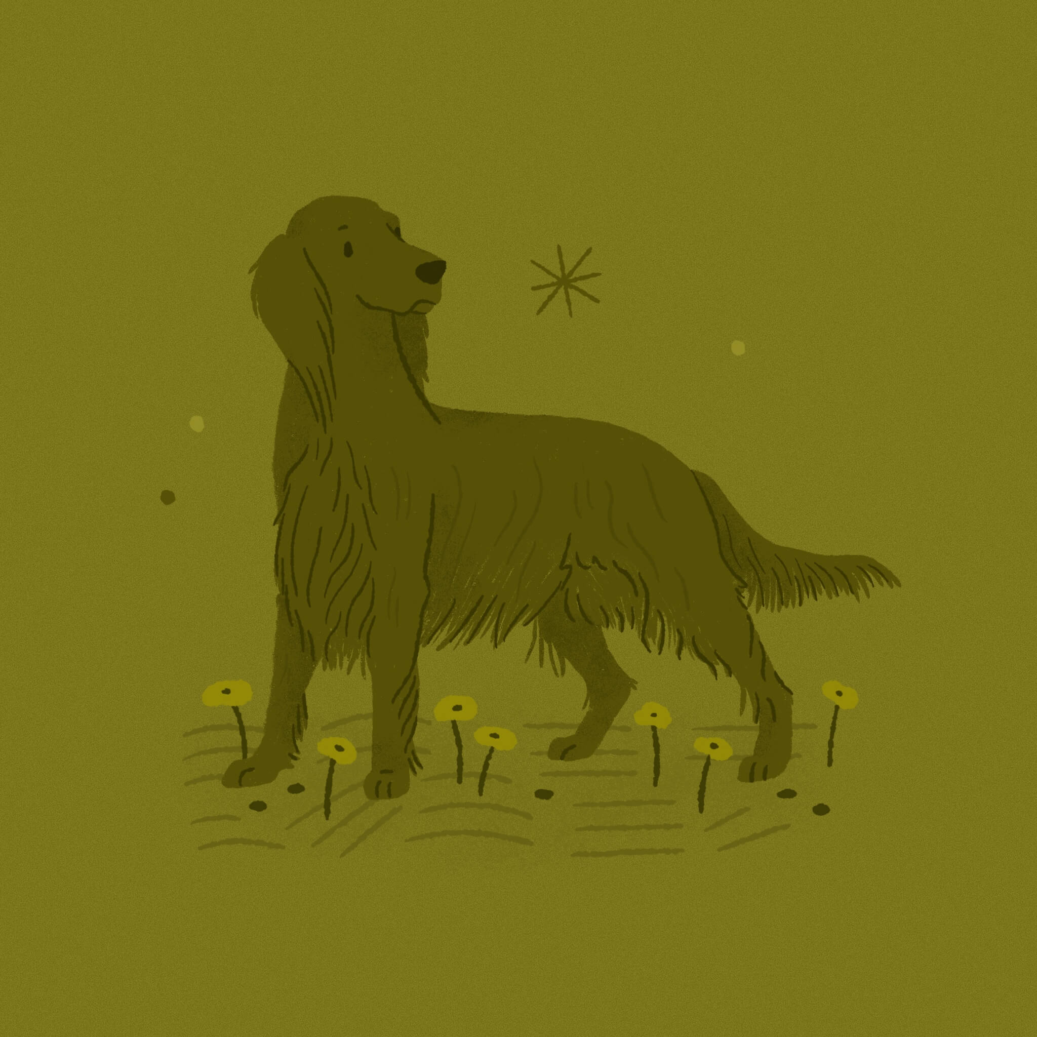 A monochromatic dark olive illustration of an Irish Setter dog standing in an alert position among some flowers