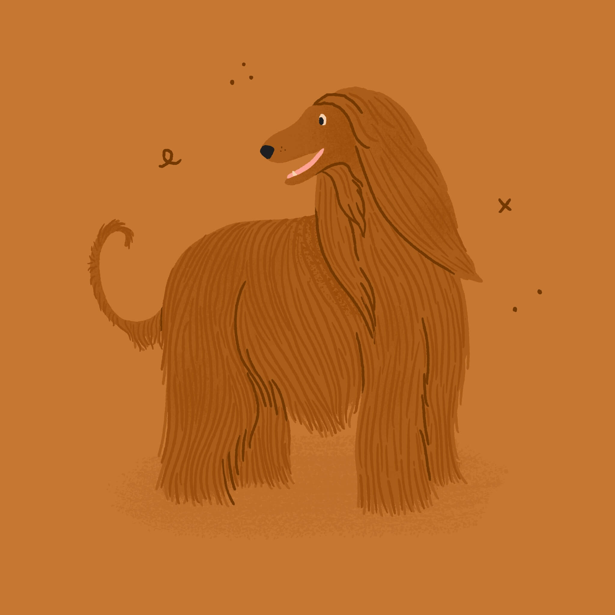 A monochromatic orange illustration of an Afghan Hound dog standing and looking to the left