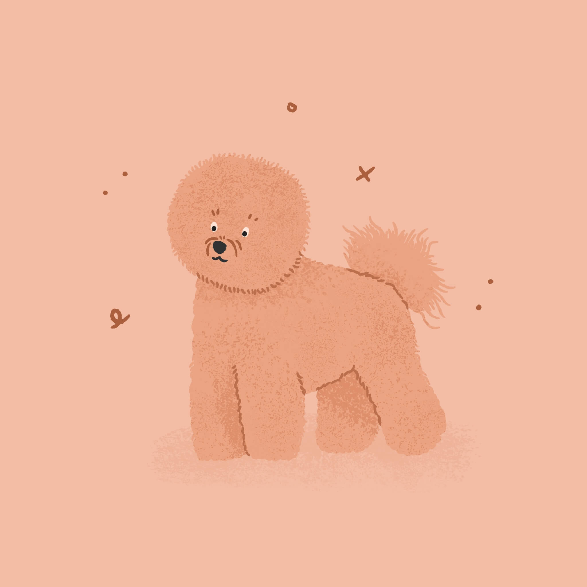 A monochromatic pink illustration of a small Bichon Frisé Dog with a perfectly round haircut