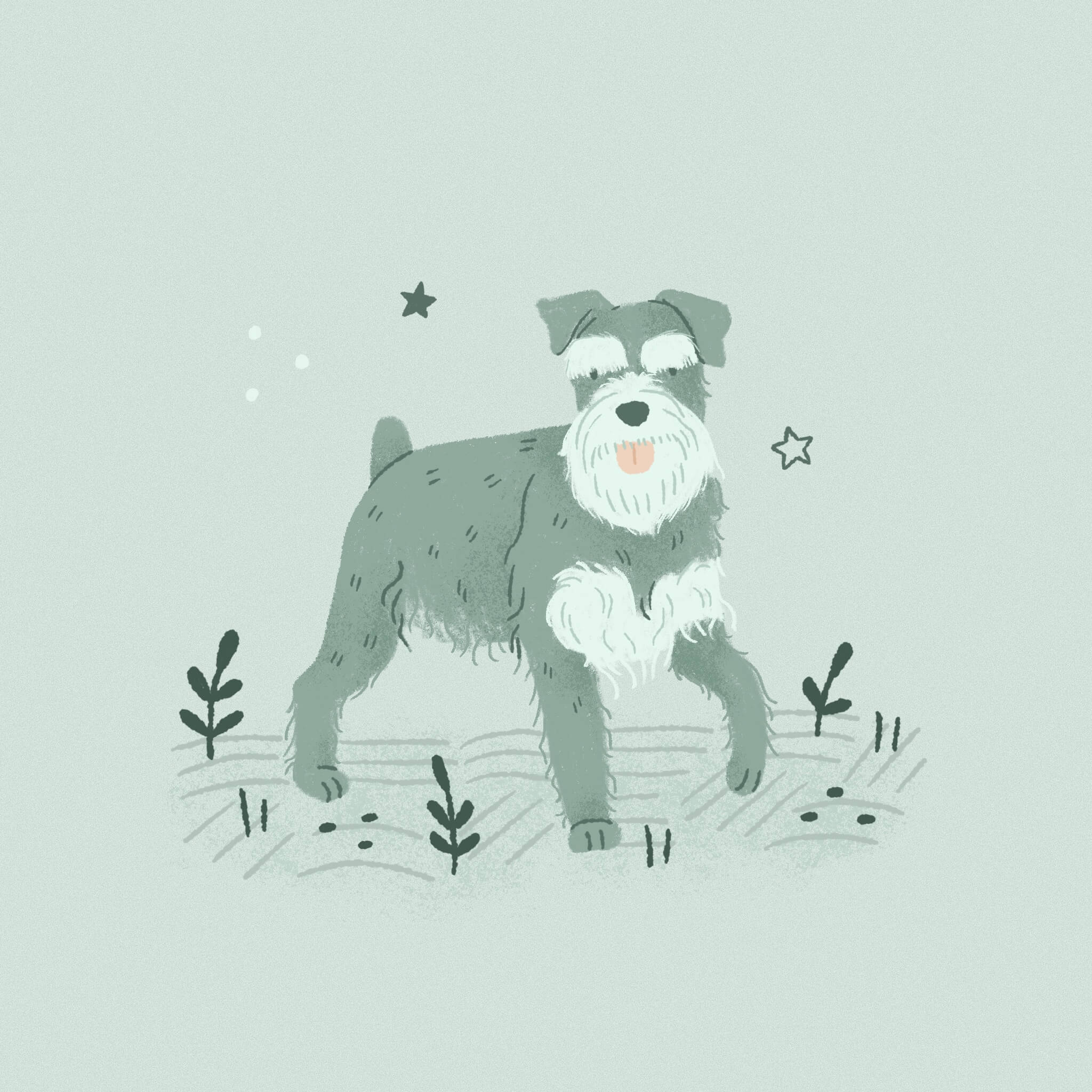 A monochromatic, teal blue illustration of a schnauzer standing among flora with one paw raised just off the ground