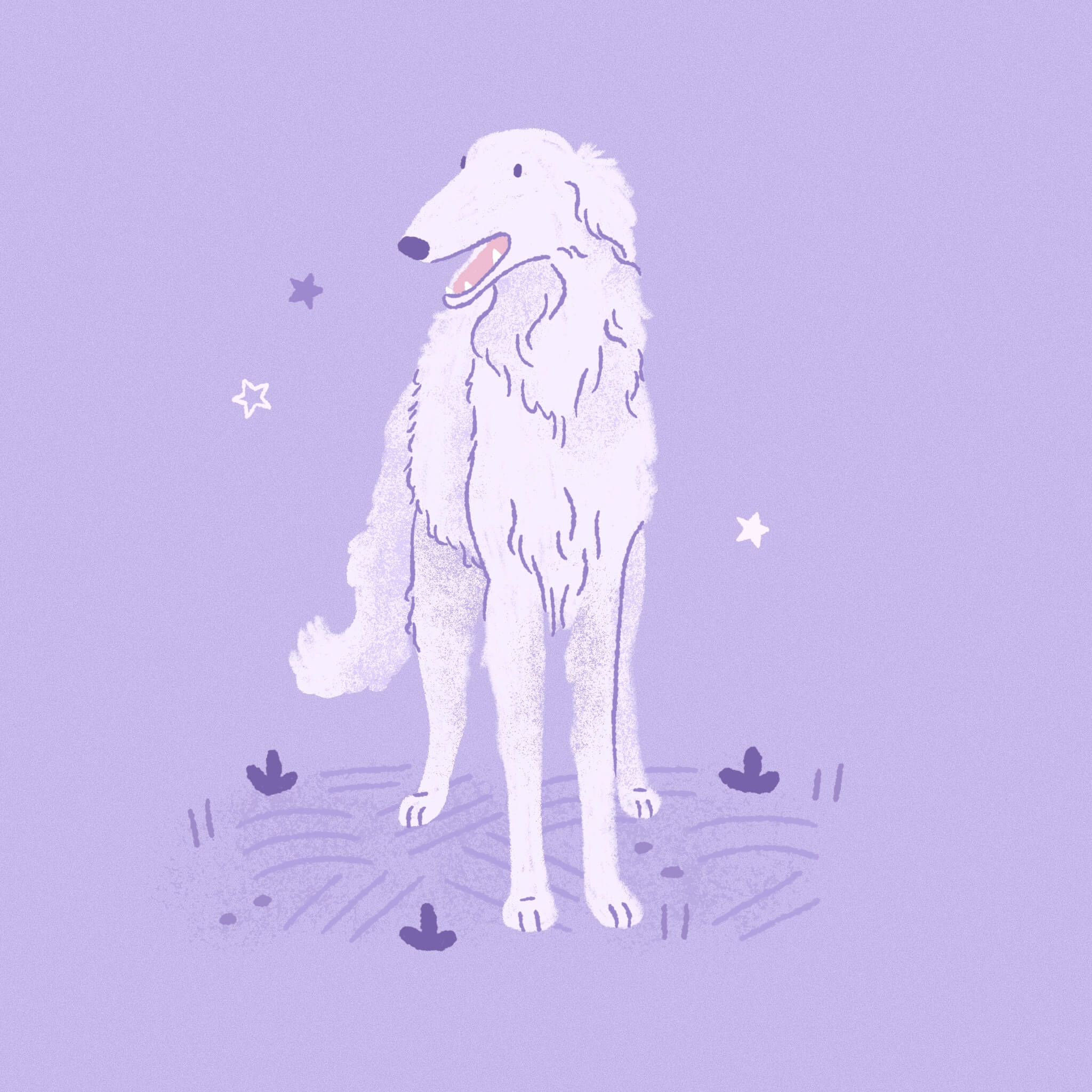 A monochromatic light purple illustration of a Borzoi dog standing among some flora