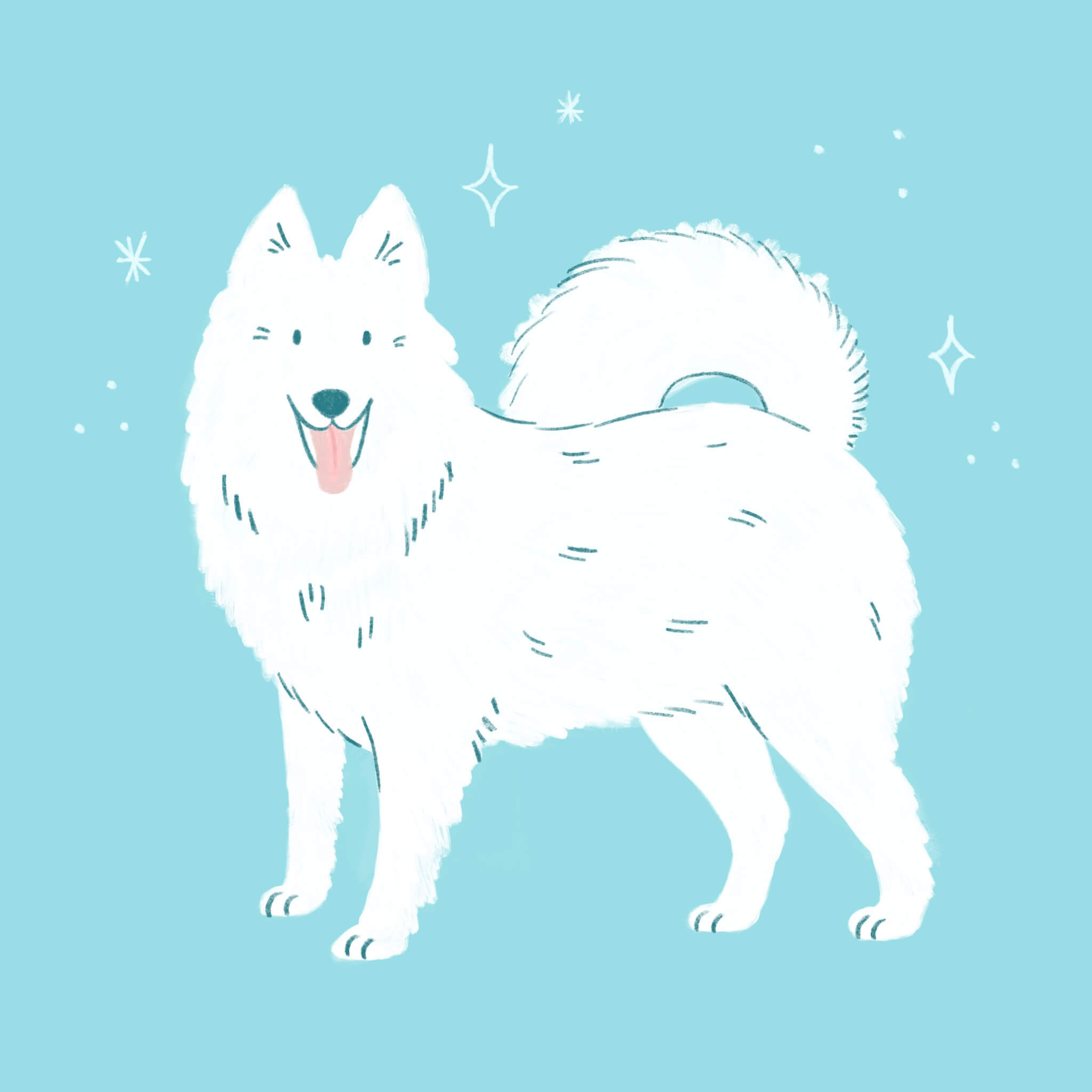 An illustration of a Samoyed dog smiling and facing the viewer