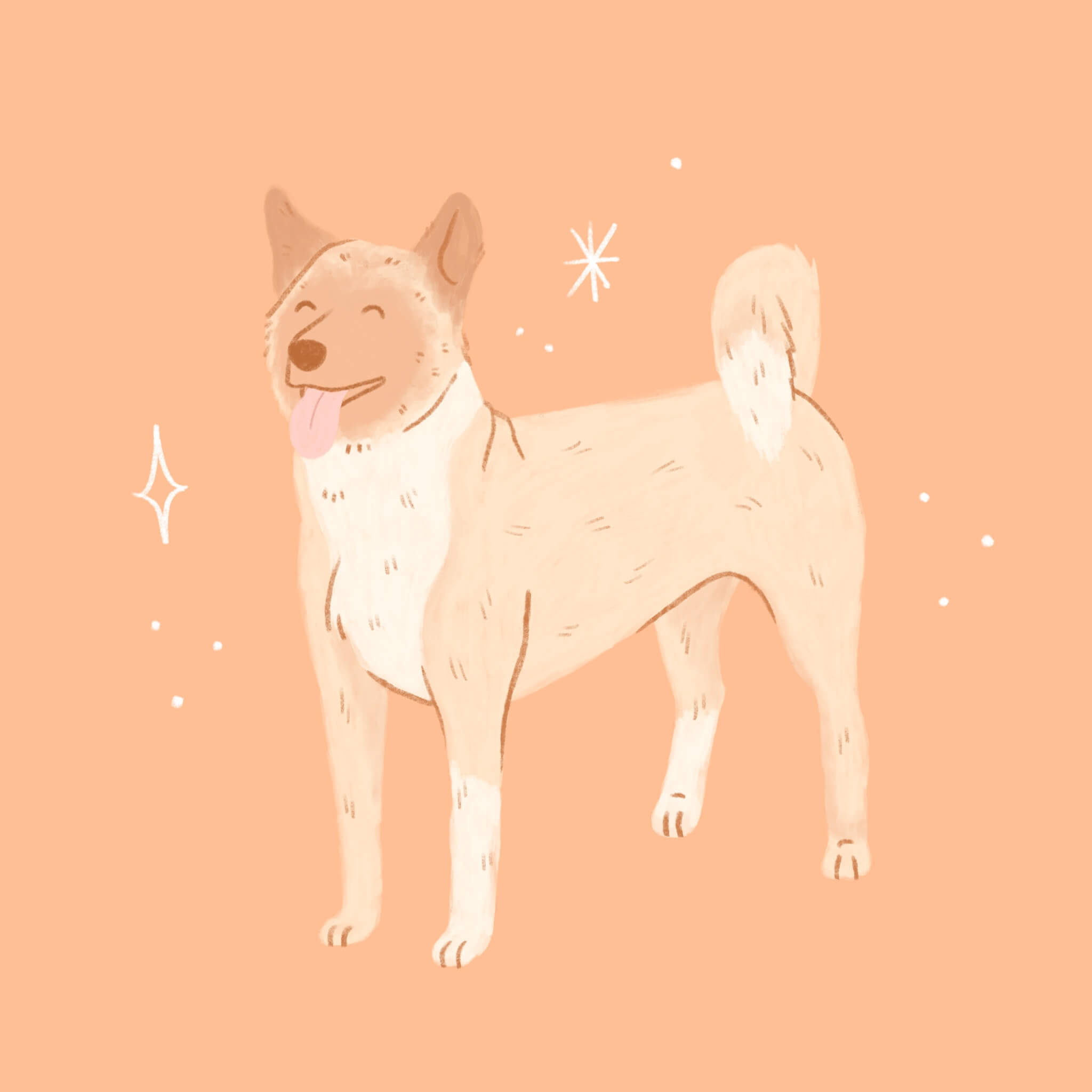 An illustration of an Akita Dog