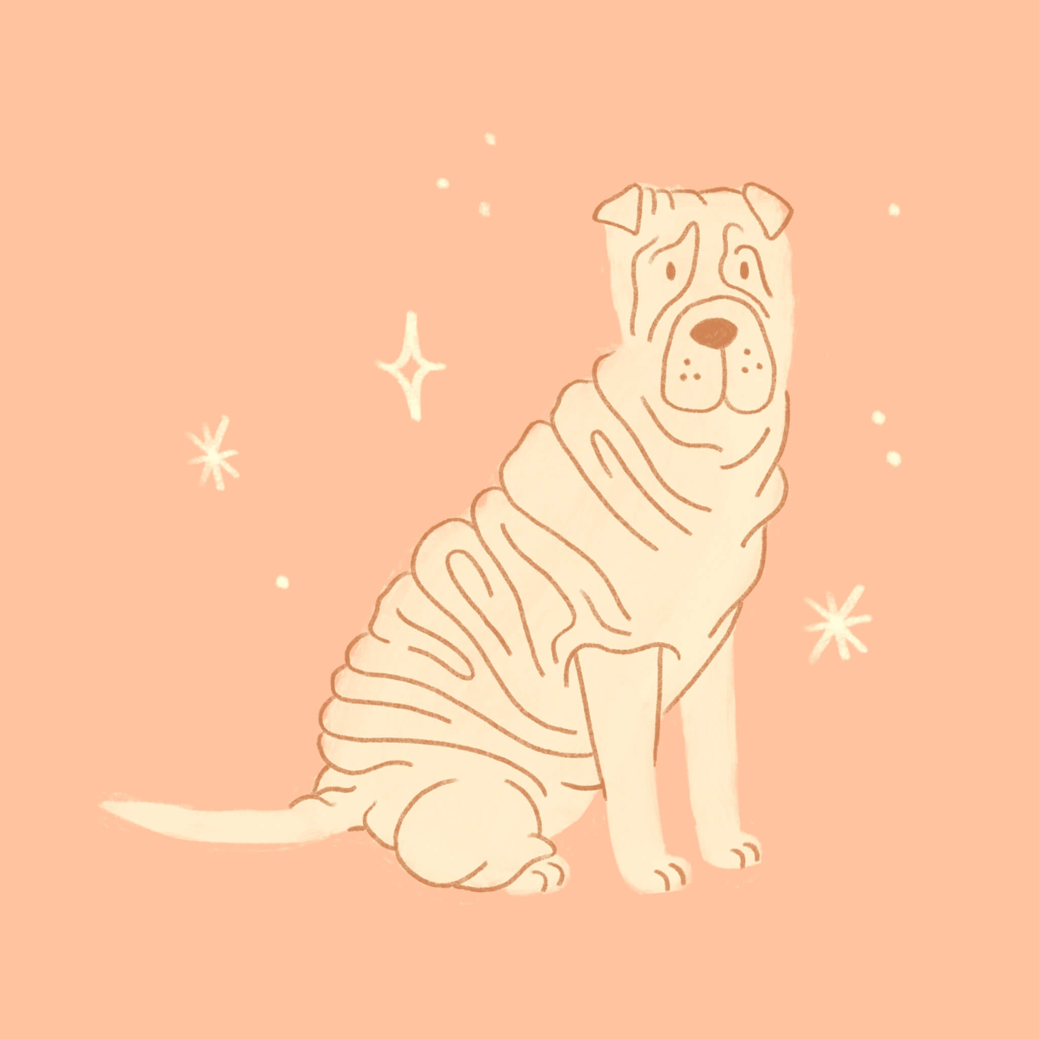 An illustration of Shar Pei dog