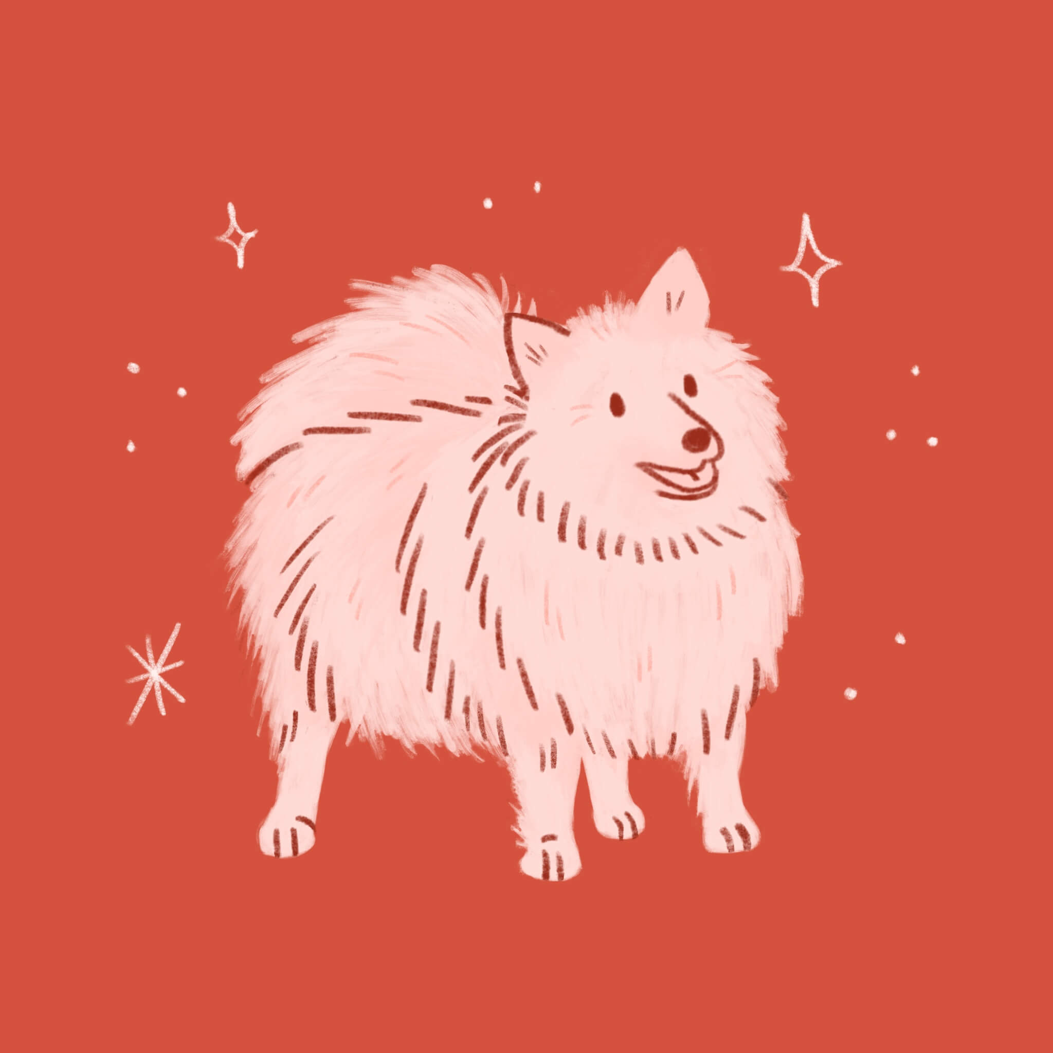 An illustration of a red Keeshond dog