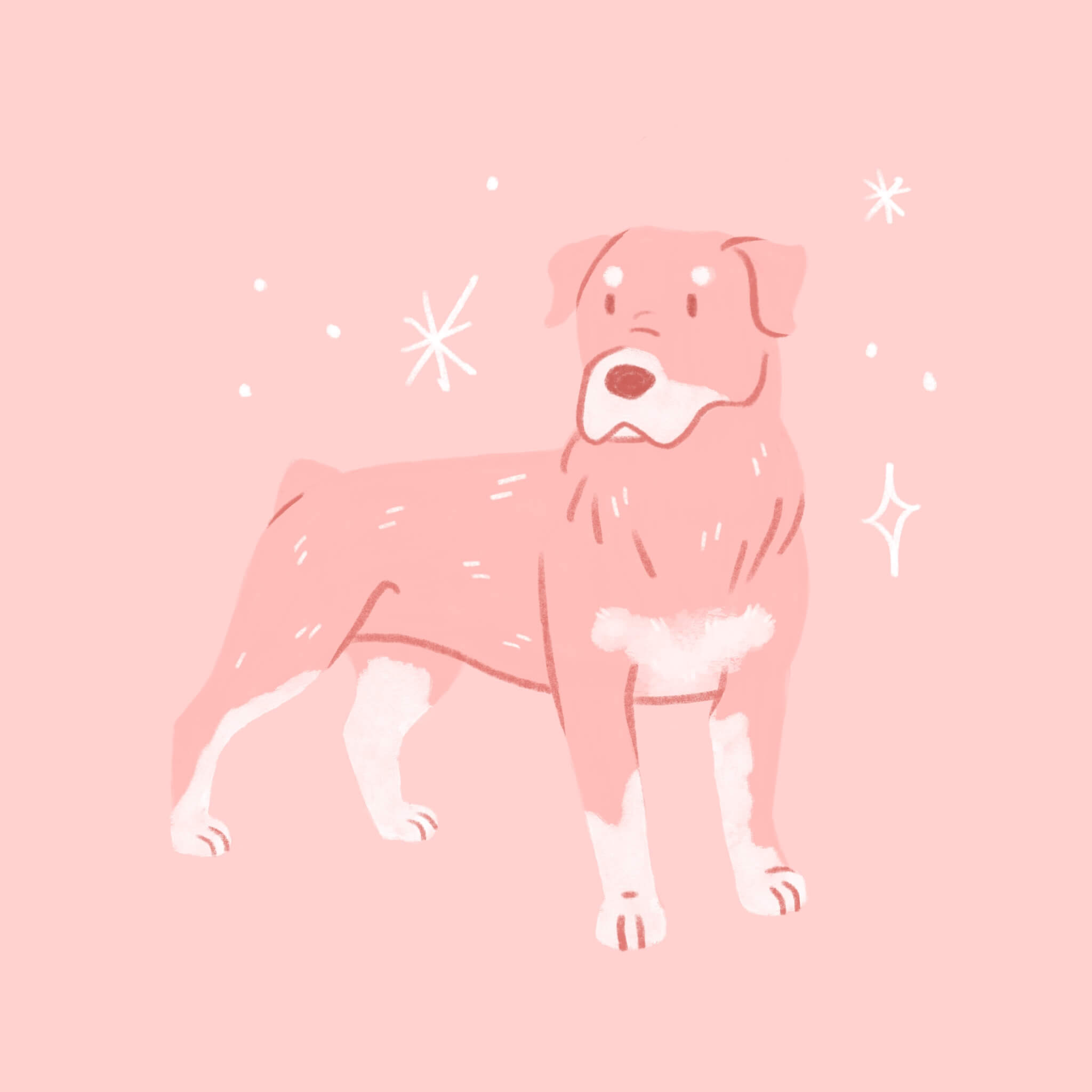 An illustration of a pink Rottweiler dog