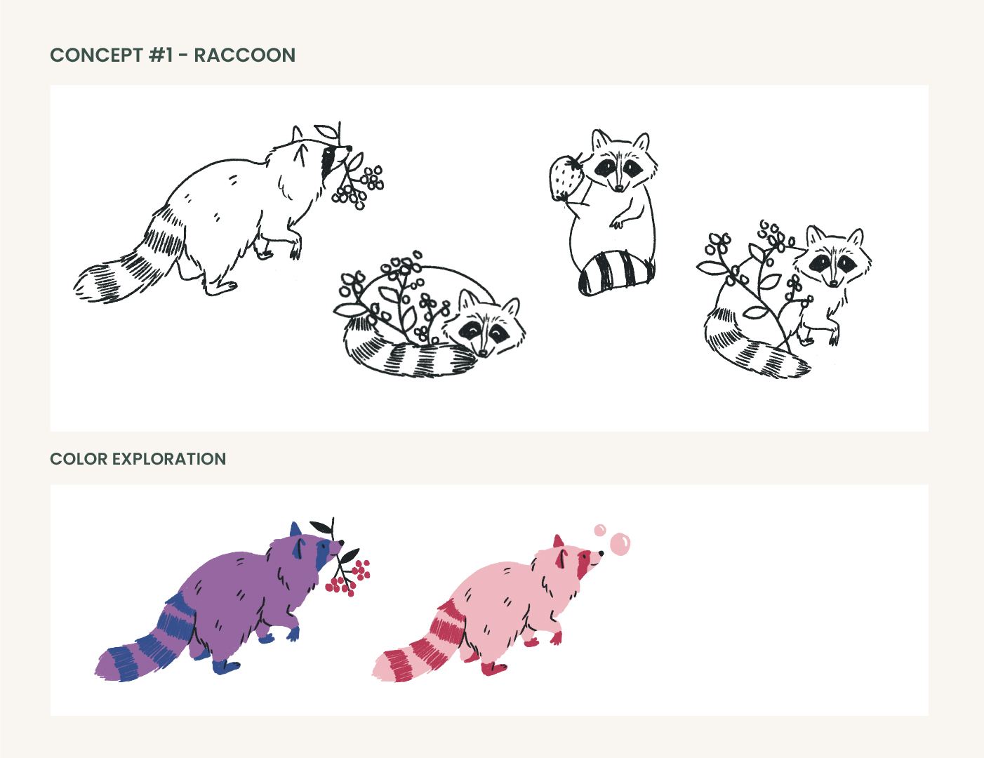 raccoon-sketches