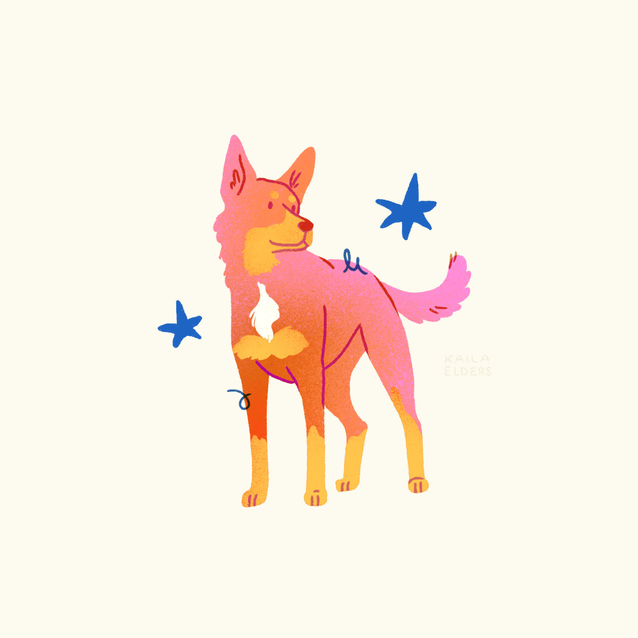 An illustration of an Australian Kelpie in red, orange, and pink gradient colours