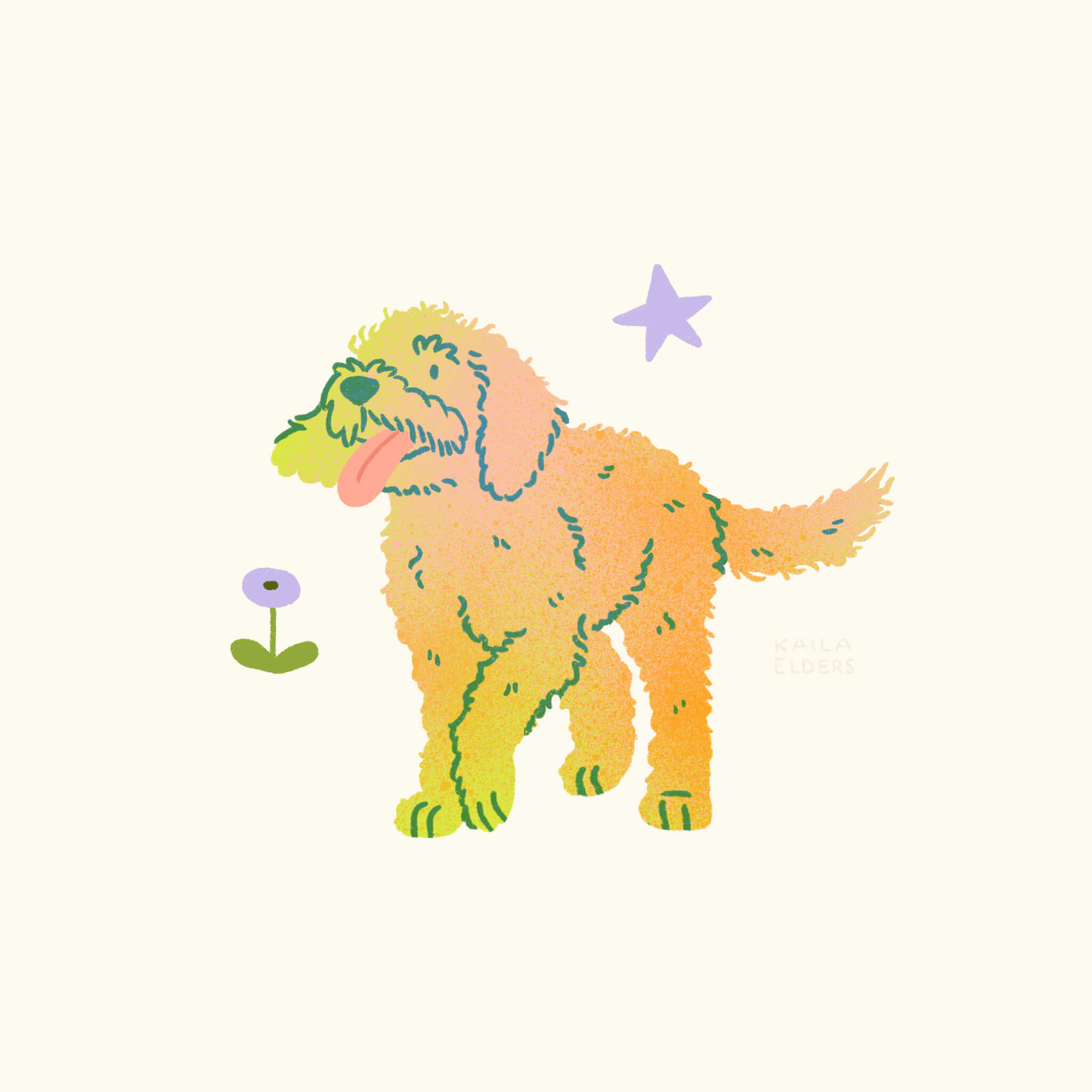 An illustration of a Barbet dog in yellow, orange, and green colours