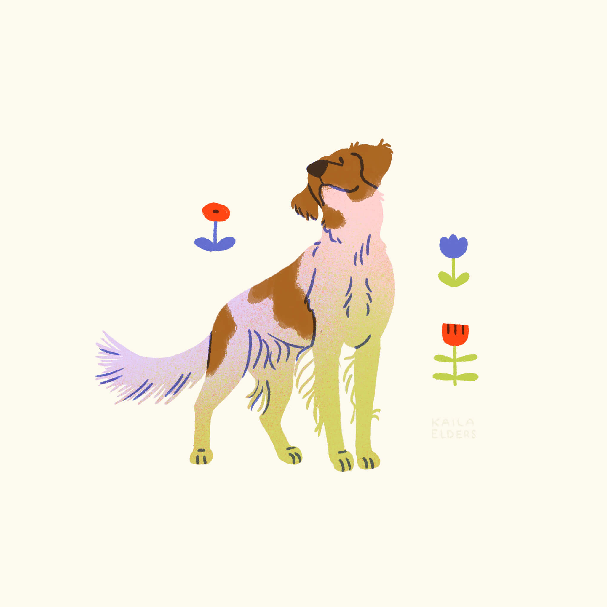 An illustration of a Brittany dog in pink, lilac, green, and dark orange colours