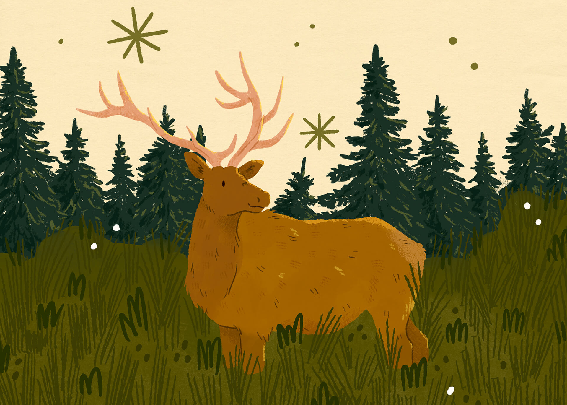 Wandering Elk