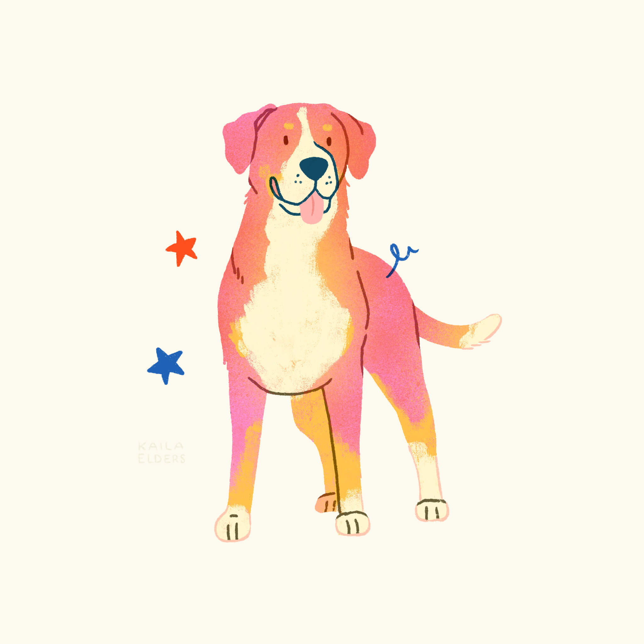 An illustration of a Greater Swiss Mountain Dog in pink, red, and orange colours