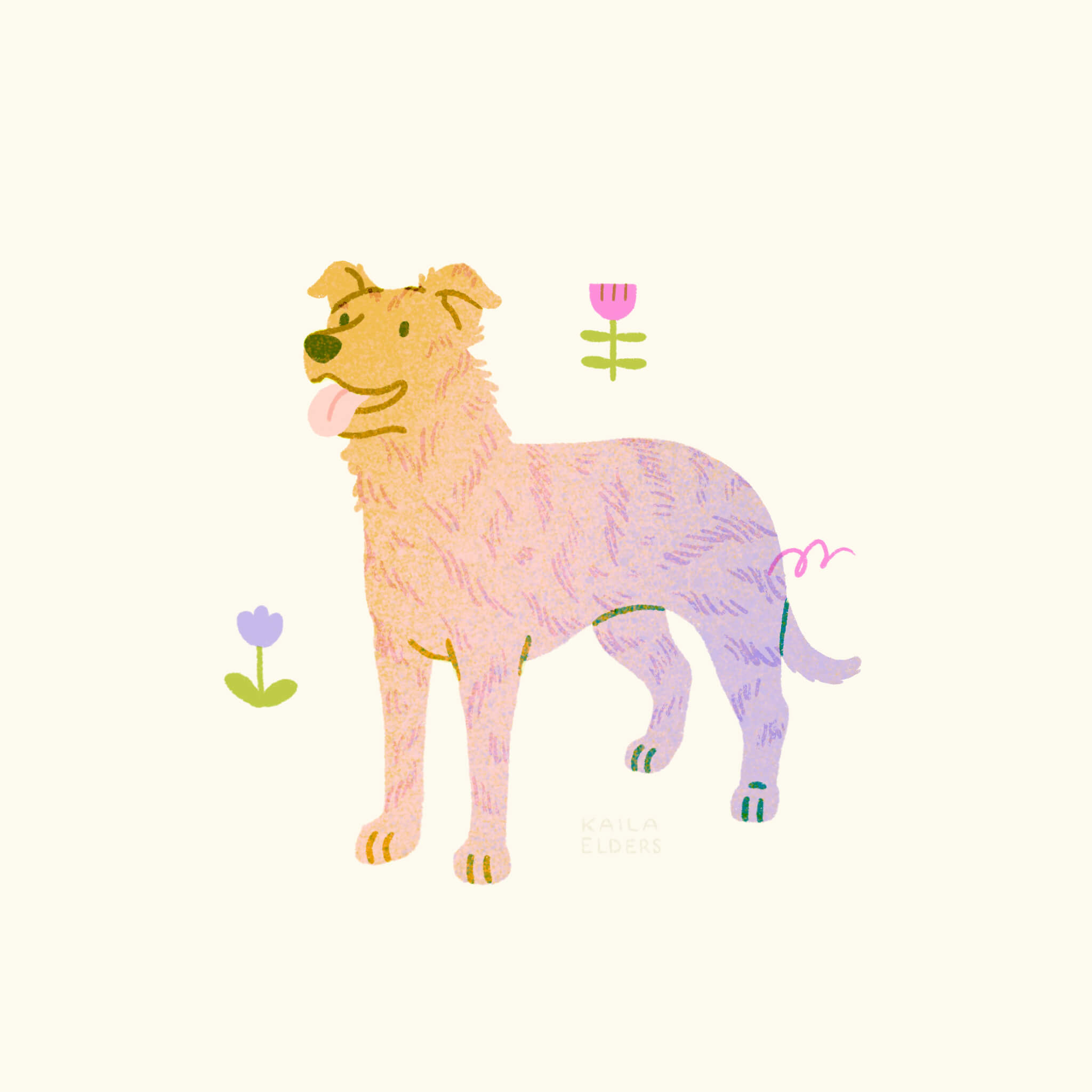 An illustration of a Saint Miguel Cattle Dog in yellow, pink, and lilac colours