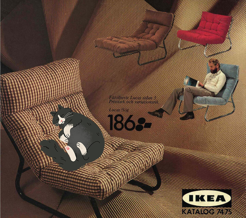 ikea-1968-curled-cat